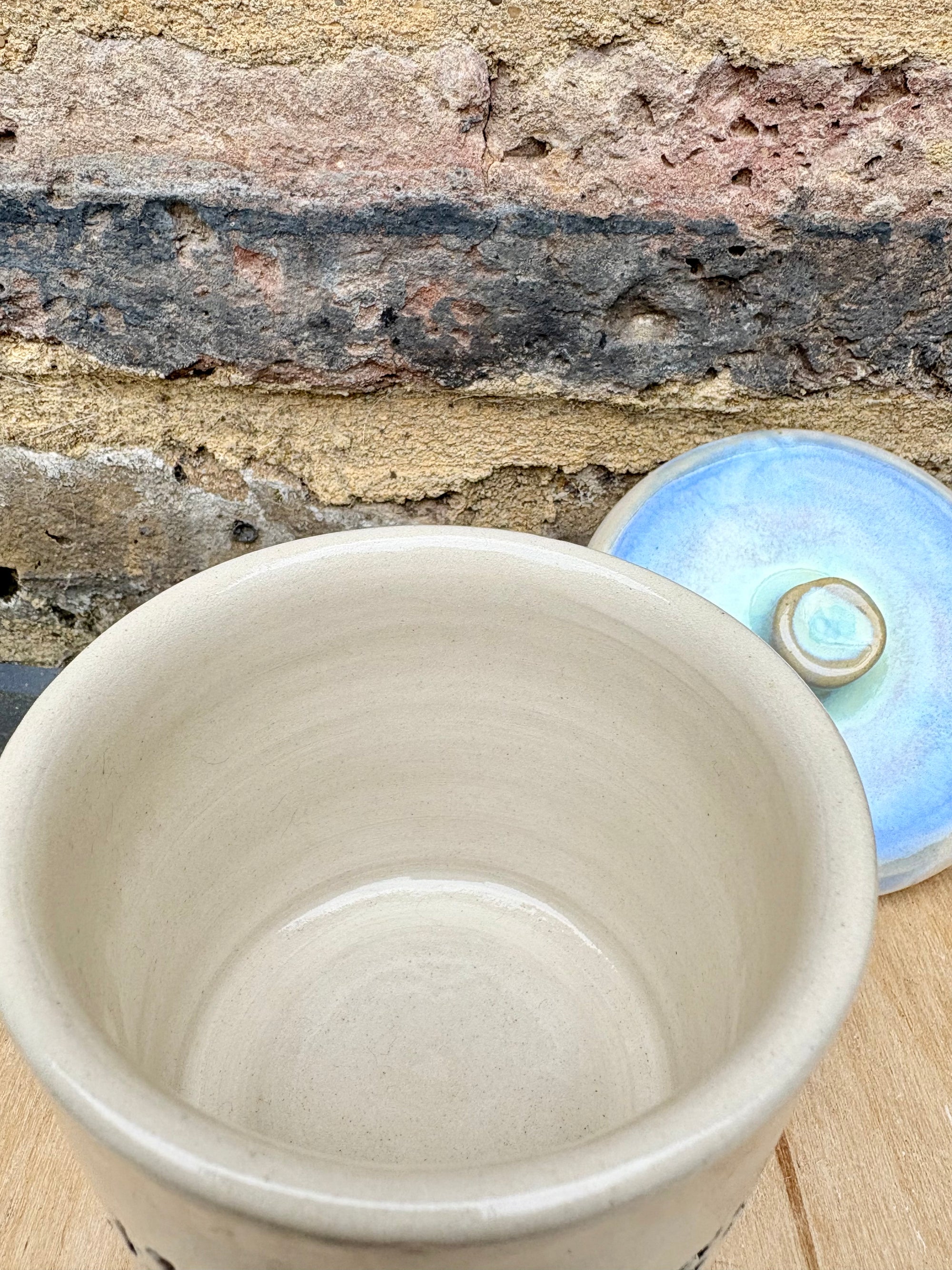 "all the drugs live here" lidded pot (oyster blue)