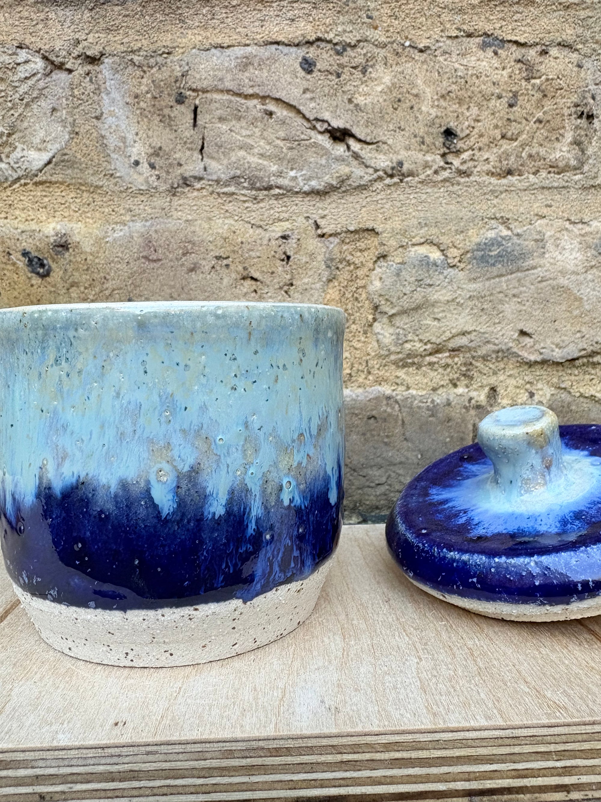 “little pot of horrors" lidded pot (blue night sky)