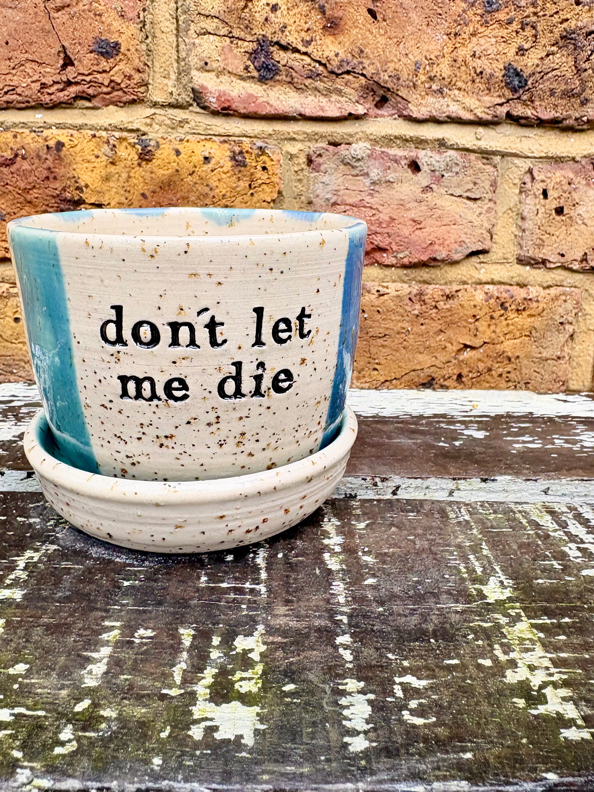 "don't let me die" planter with matching dish (blue stripe)
