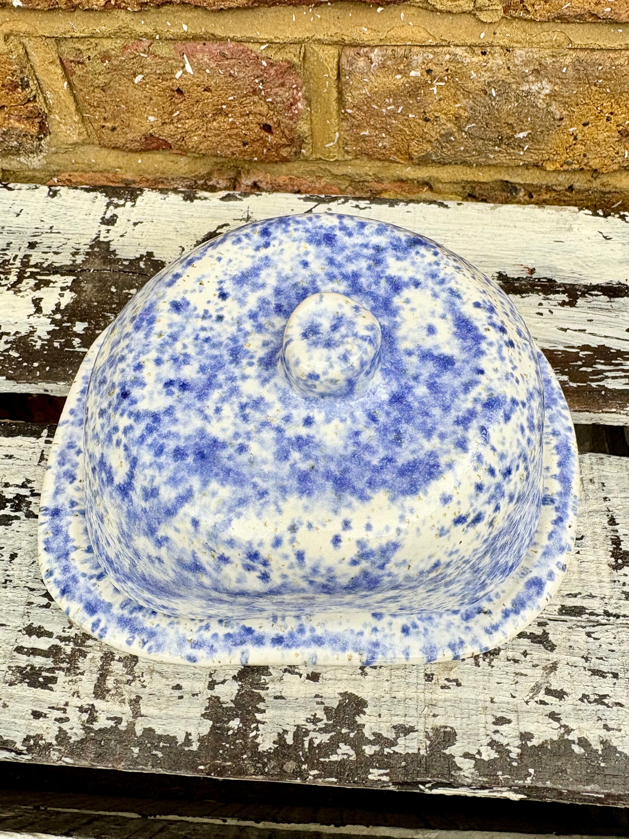 Butter Dish (butter slut, speckle blue)