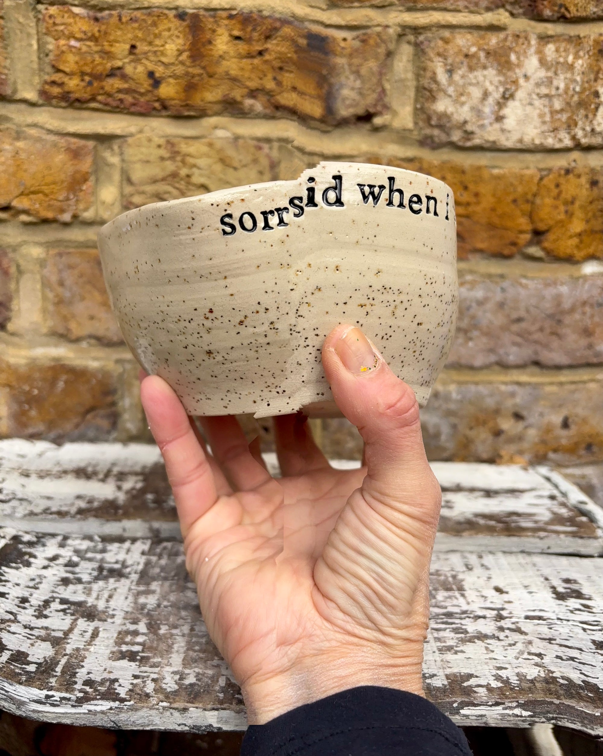 "I'm sorry for what I said when I was hungry" bowl (Pink Skies)