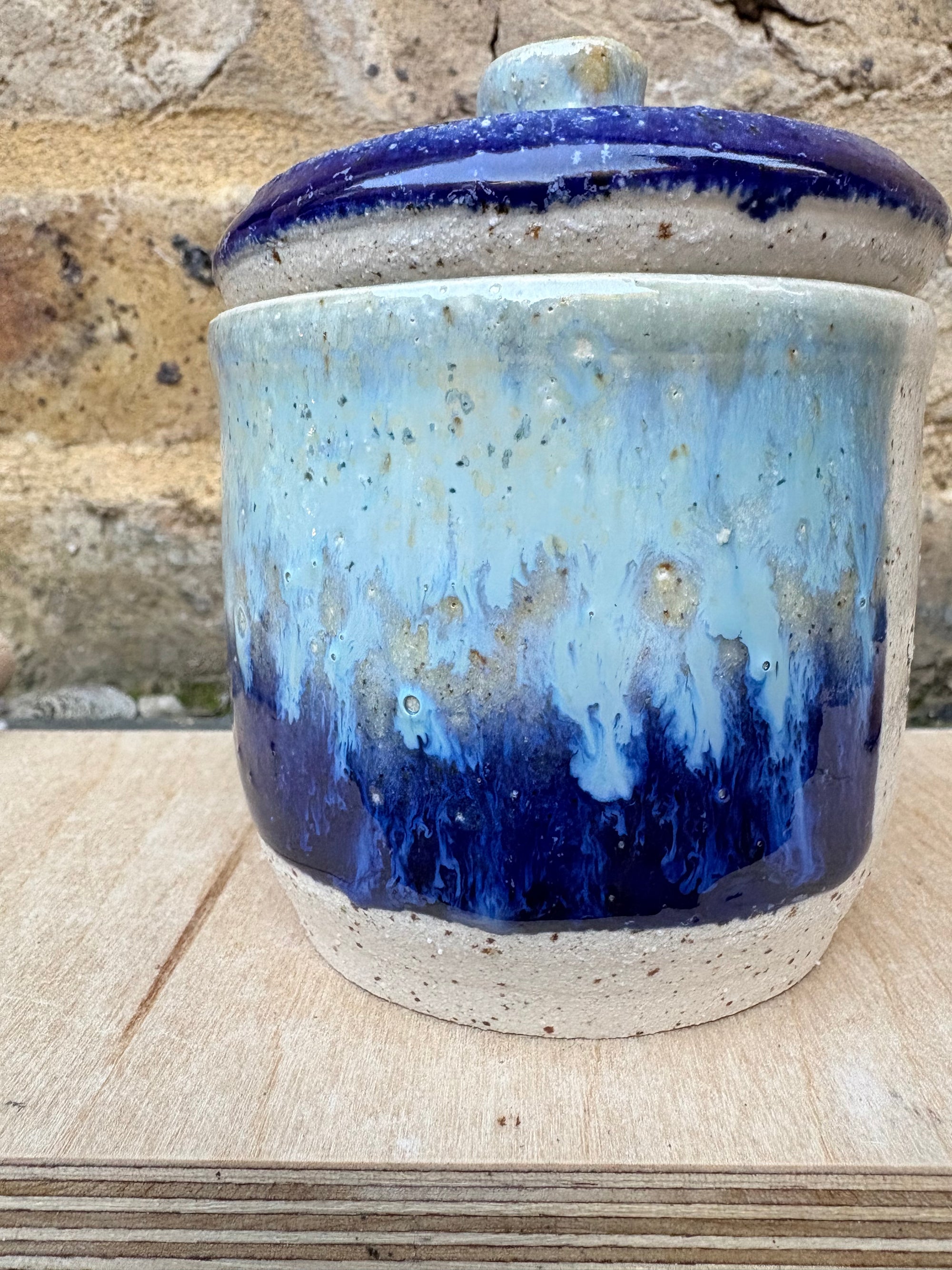 “little pot of horrors" lidded pot (blue night sky)