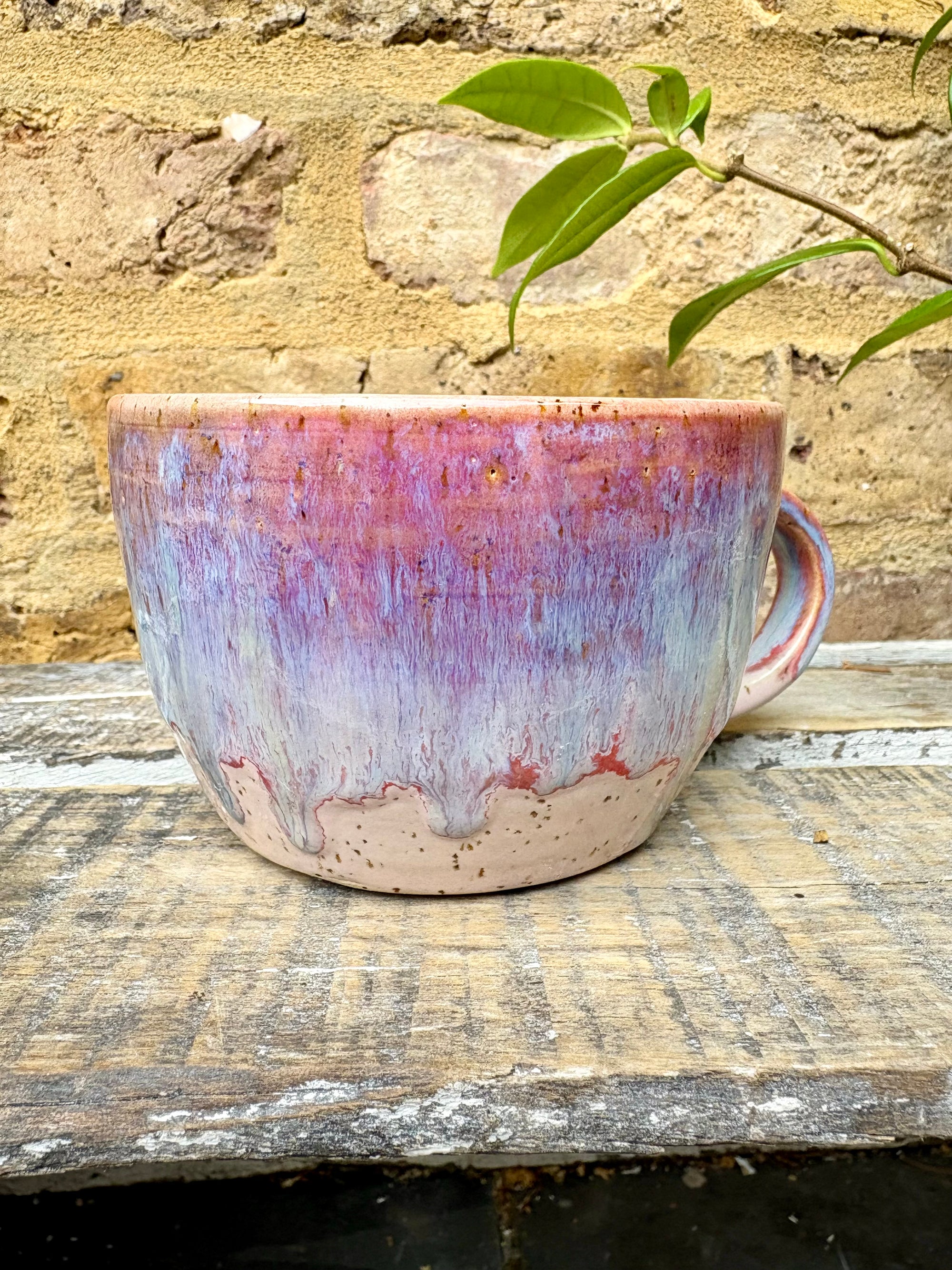 "please shut the fuck up" mug (Purple)