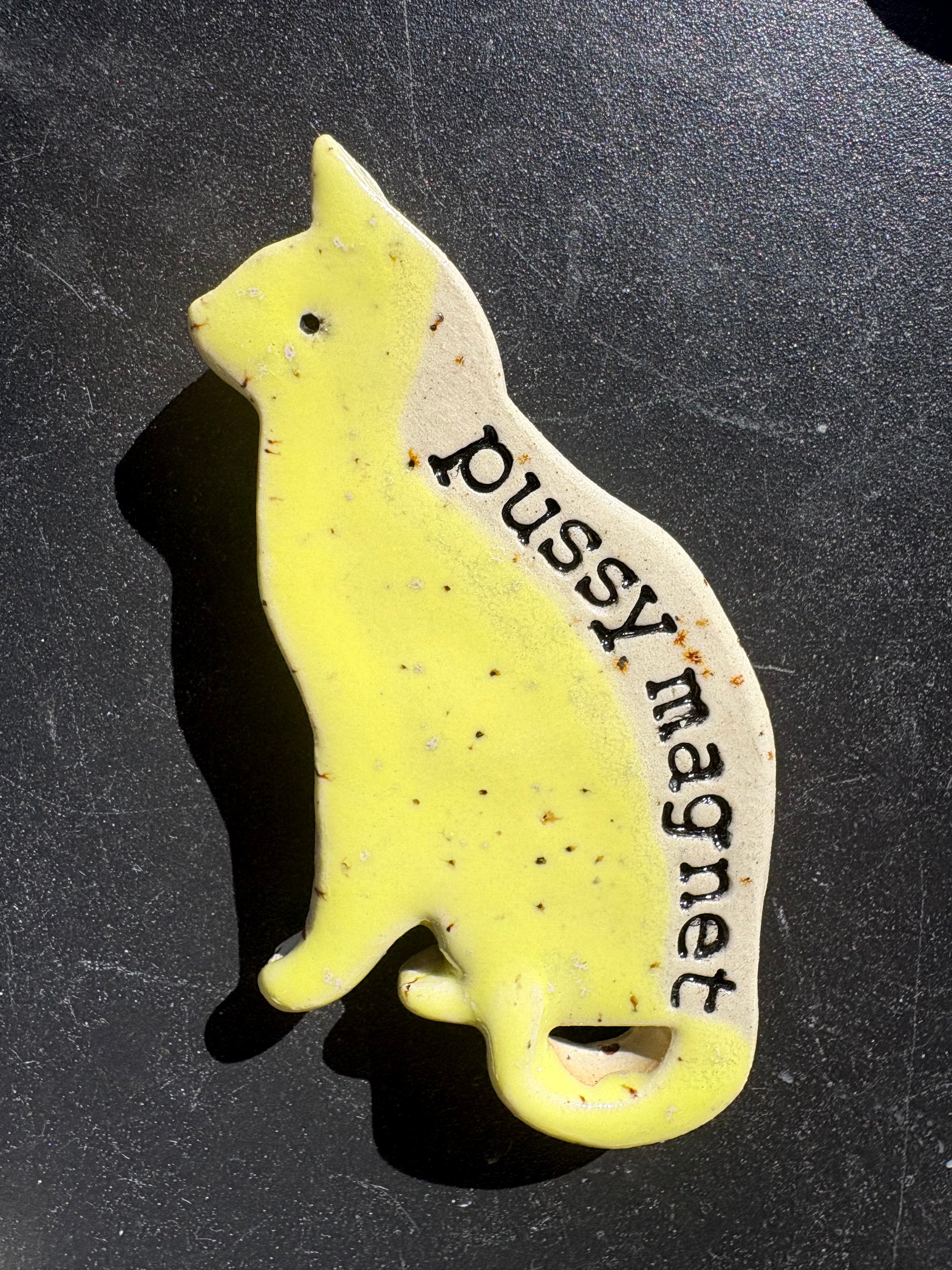 Pussy Magnet (yellow)