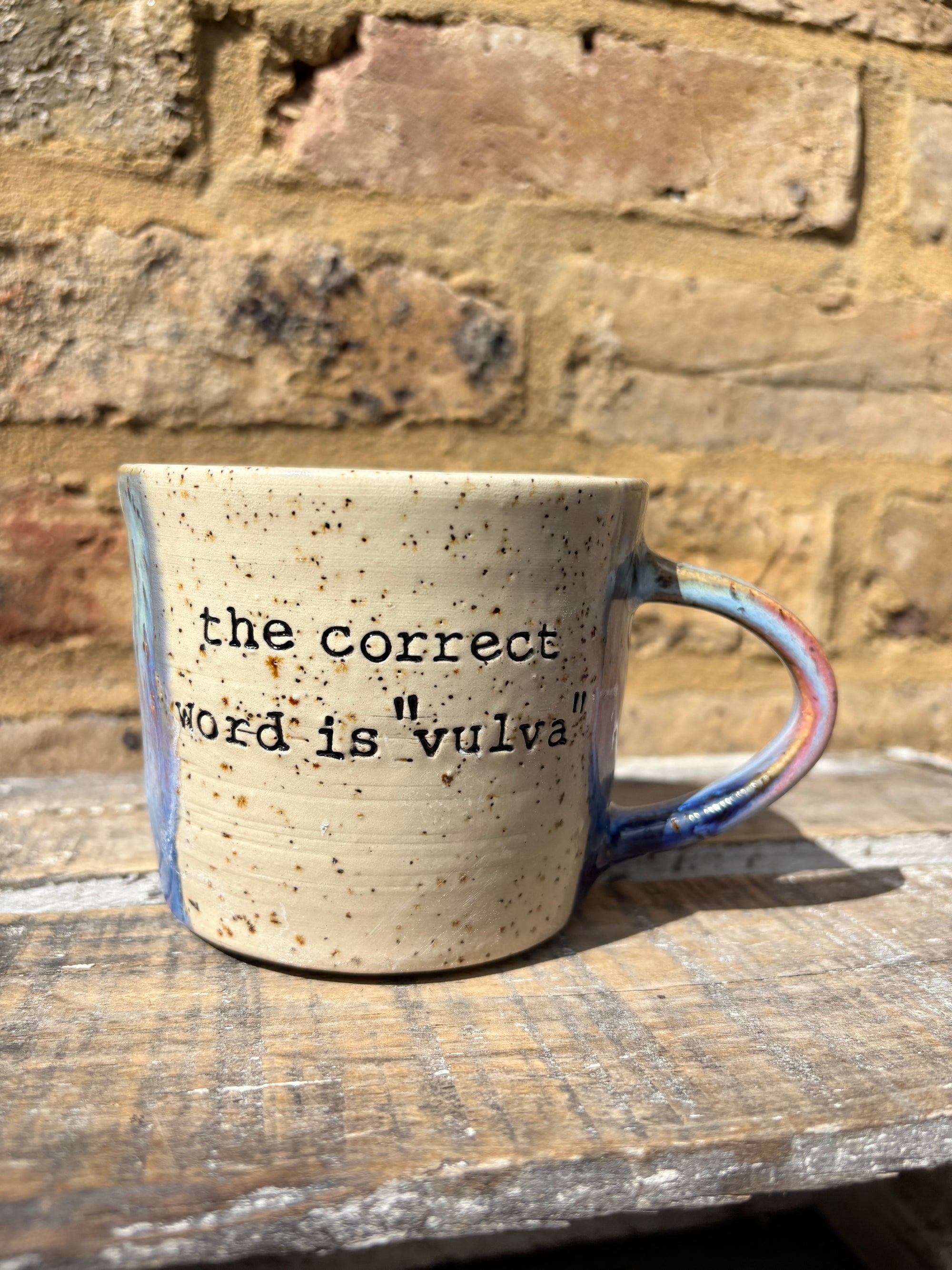 “the correct word is "vulva" mug (pink night sky)