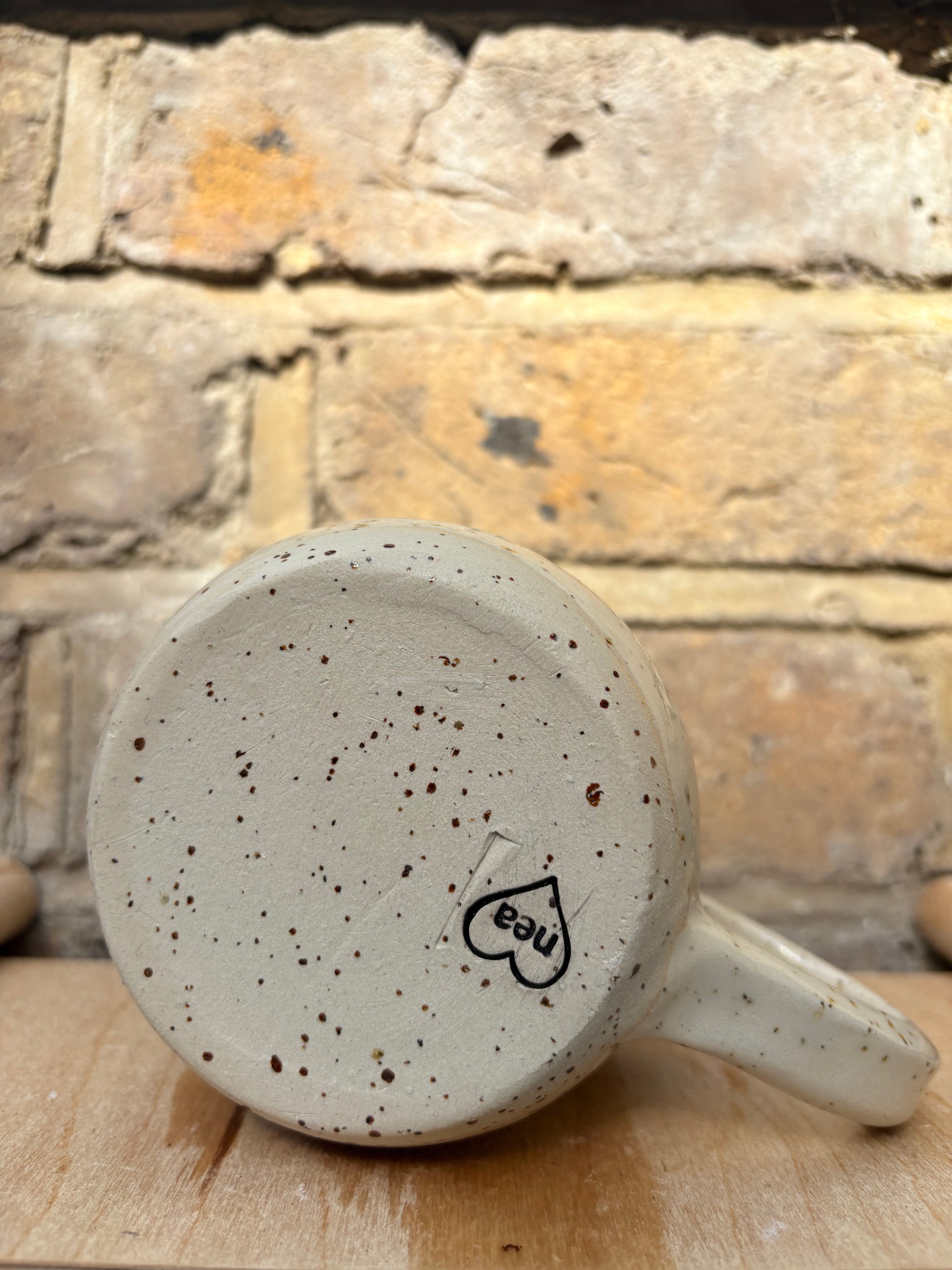 “Fuck off i'm reading" mug (five suns)