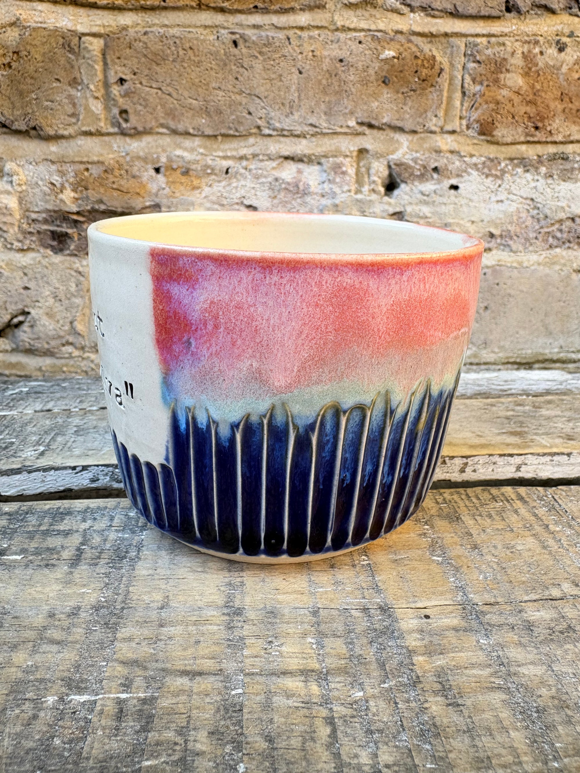 “the correct word is "vulva" mug (pink night sky)