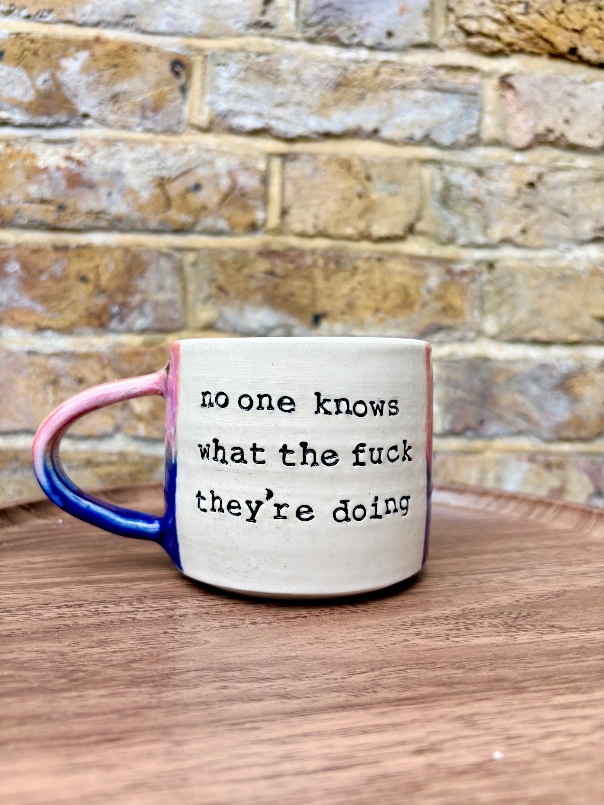 "no one knows what the fuck they're doing" mug (300ml, blue/pink)