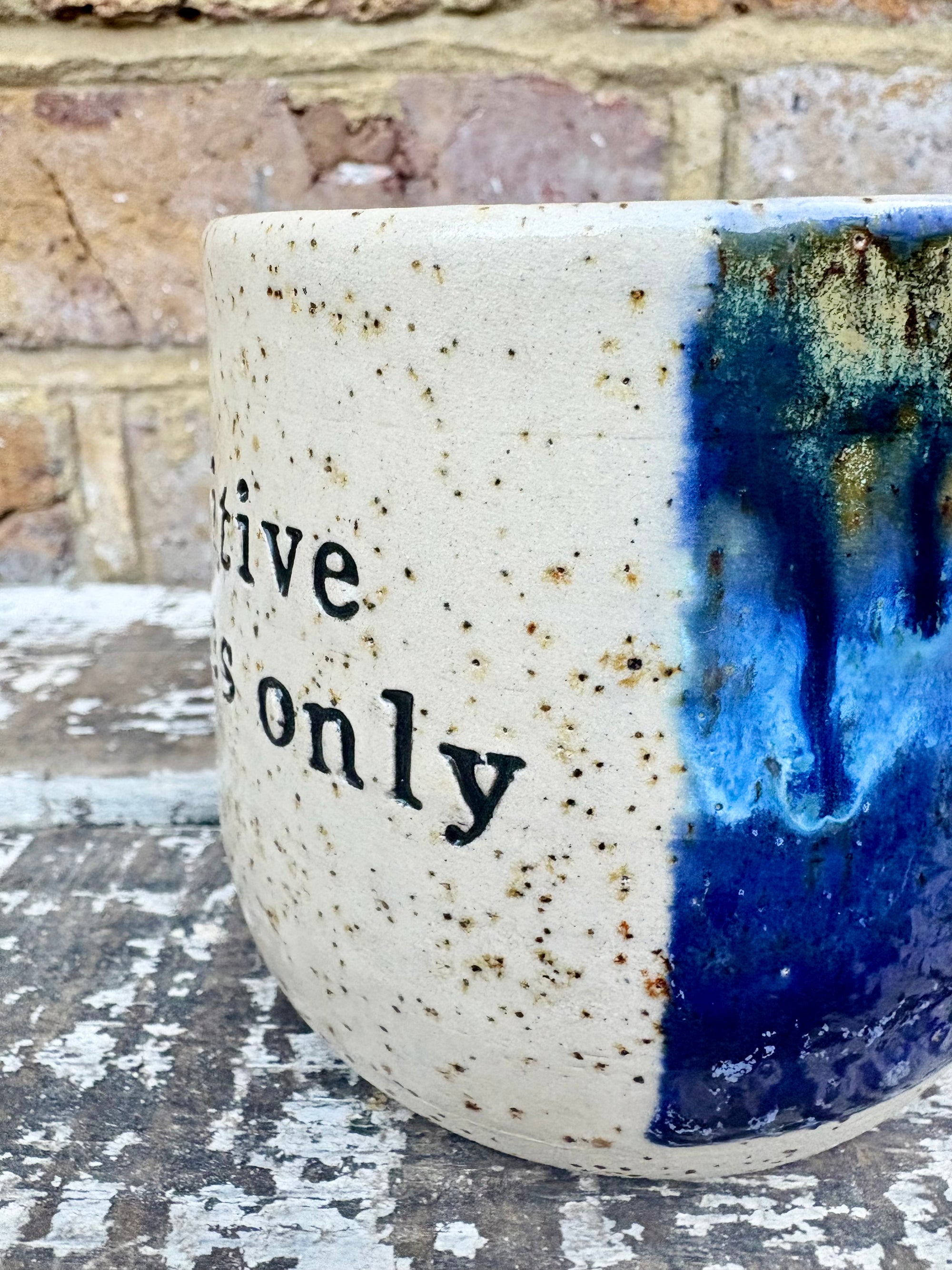 "positive vibes only" "fuck off" mug