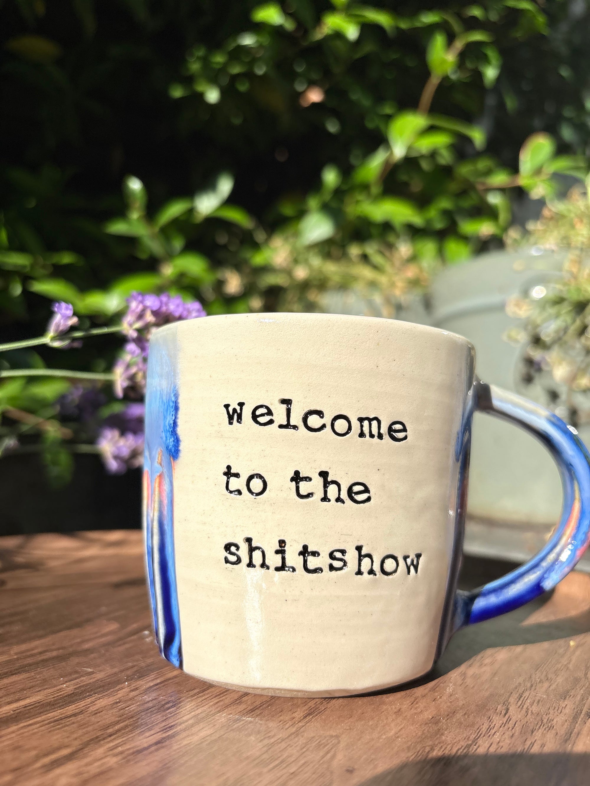 “welcome to the shit show" mug (Blue Night Sky)