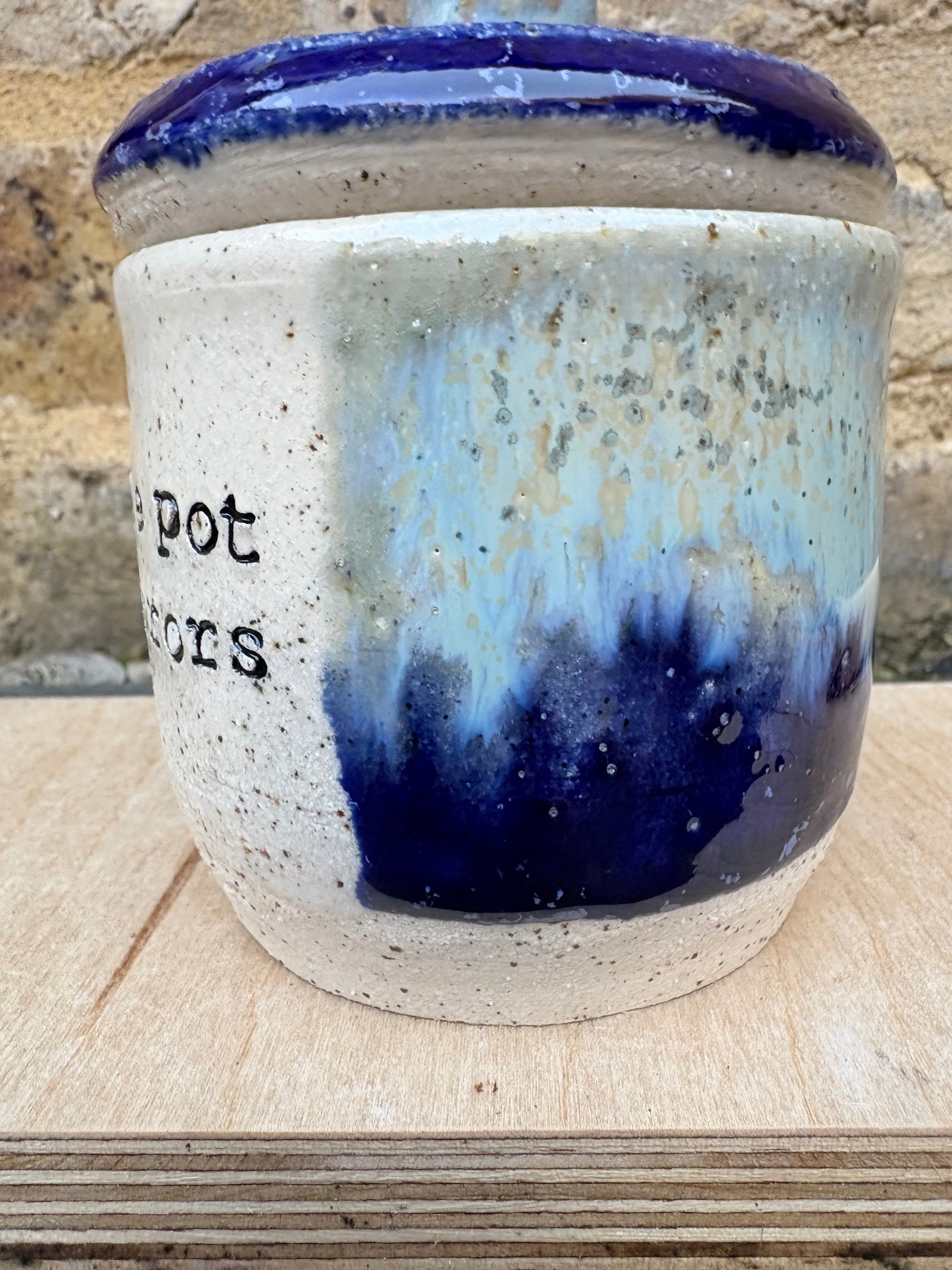 “little pot of horrors" lidded pot (blue night sky)