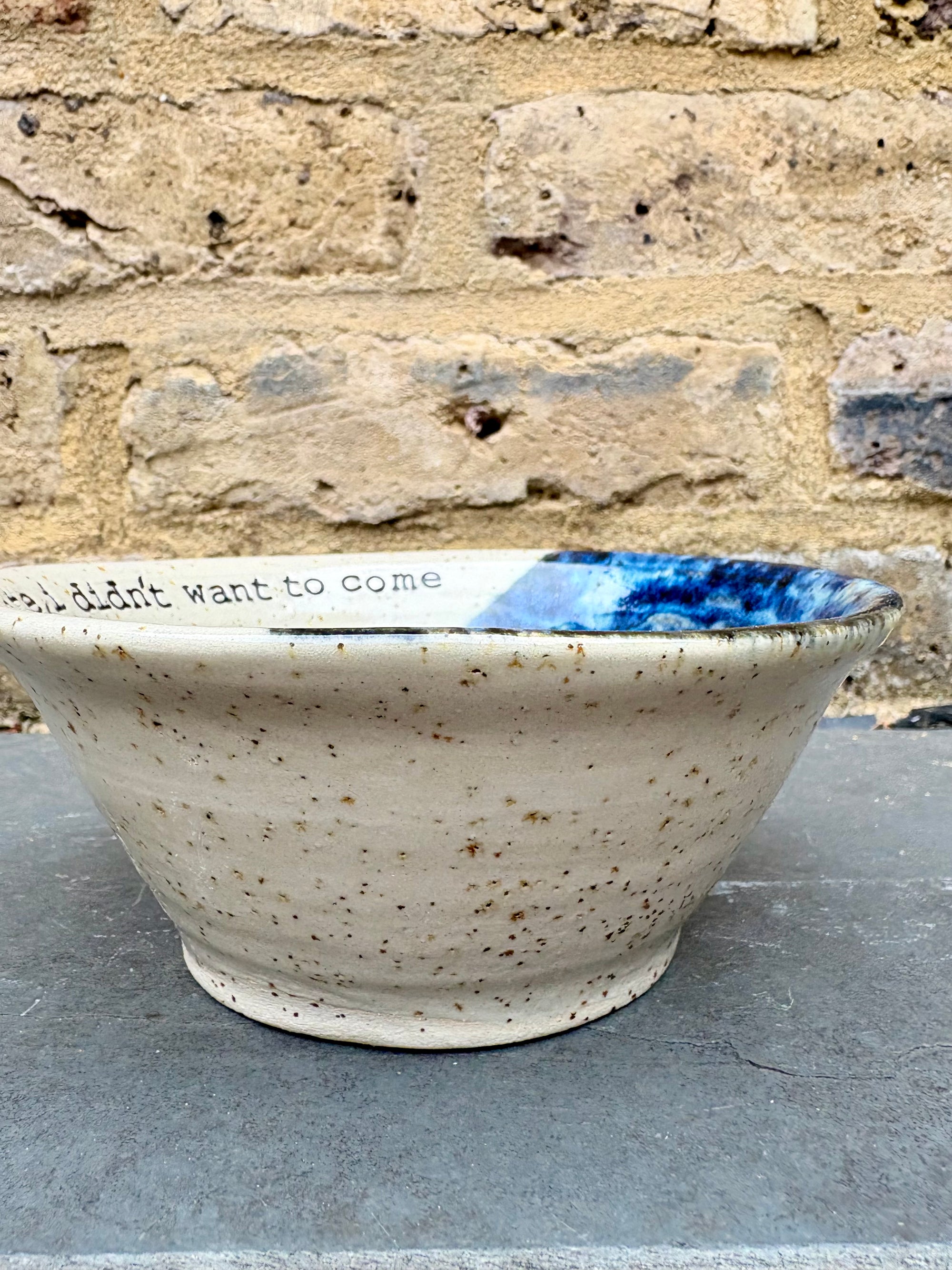 "sorry i'm late, I didn't want to come" bowl (blue)