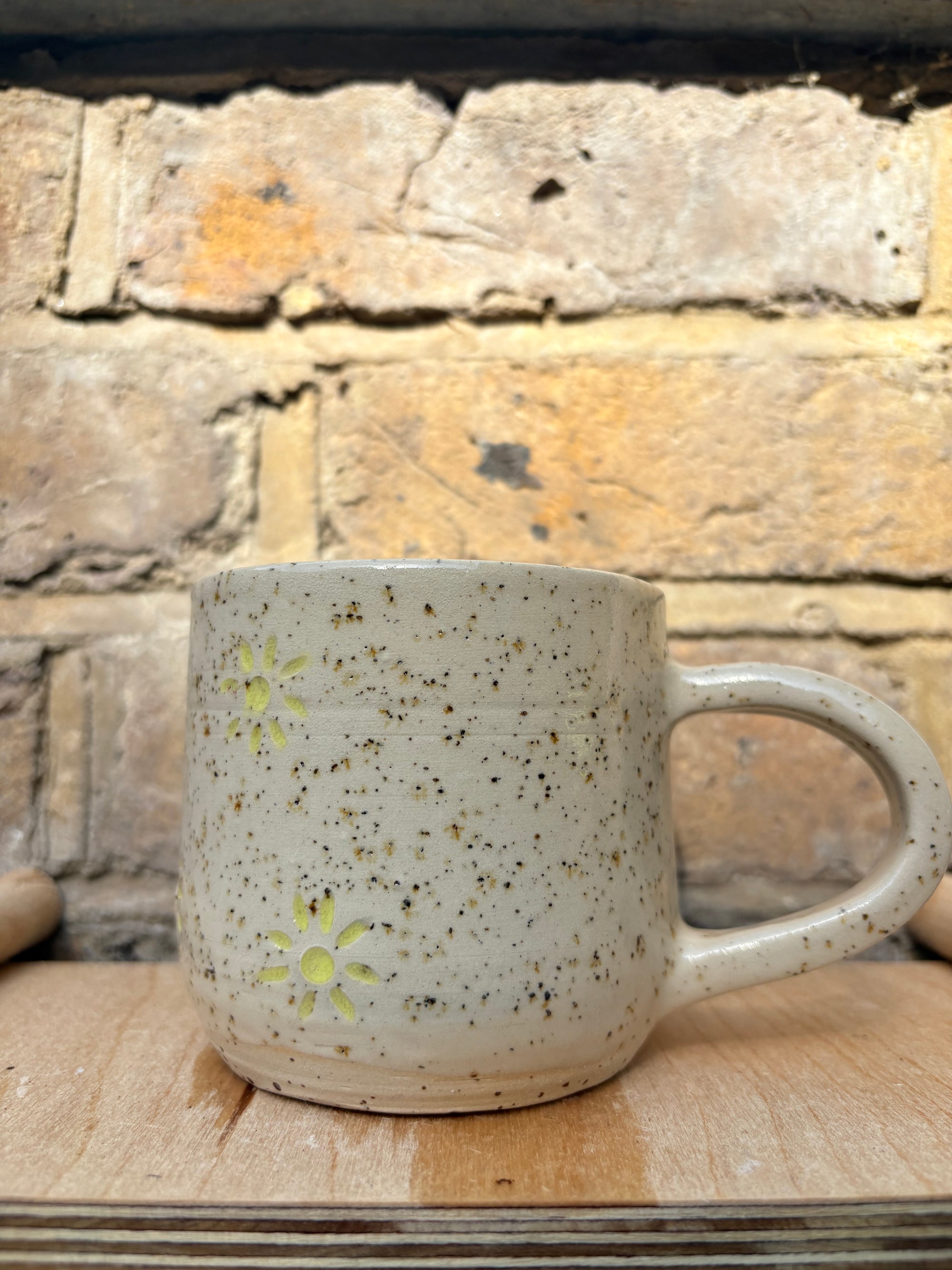 “Fuck off i'm reading" mug (five suns)