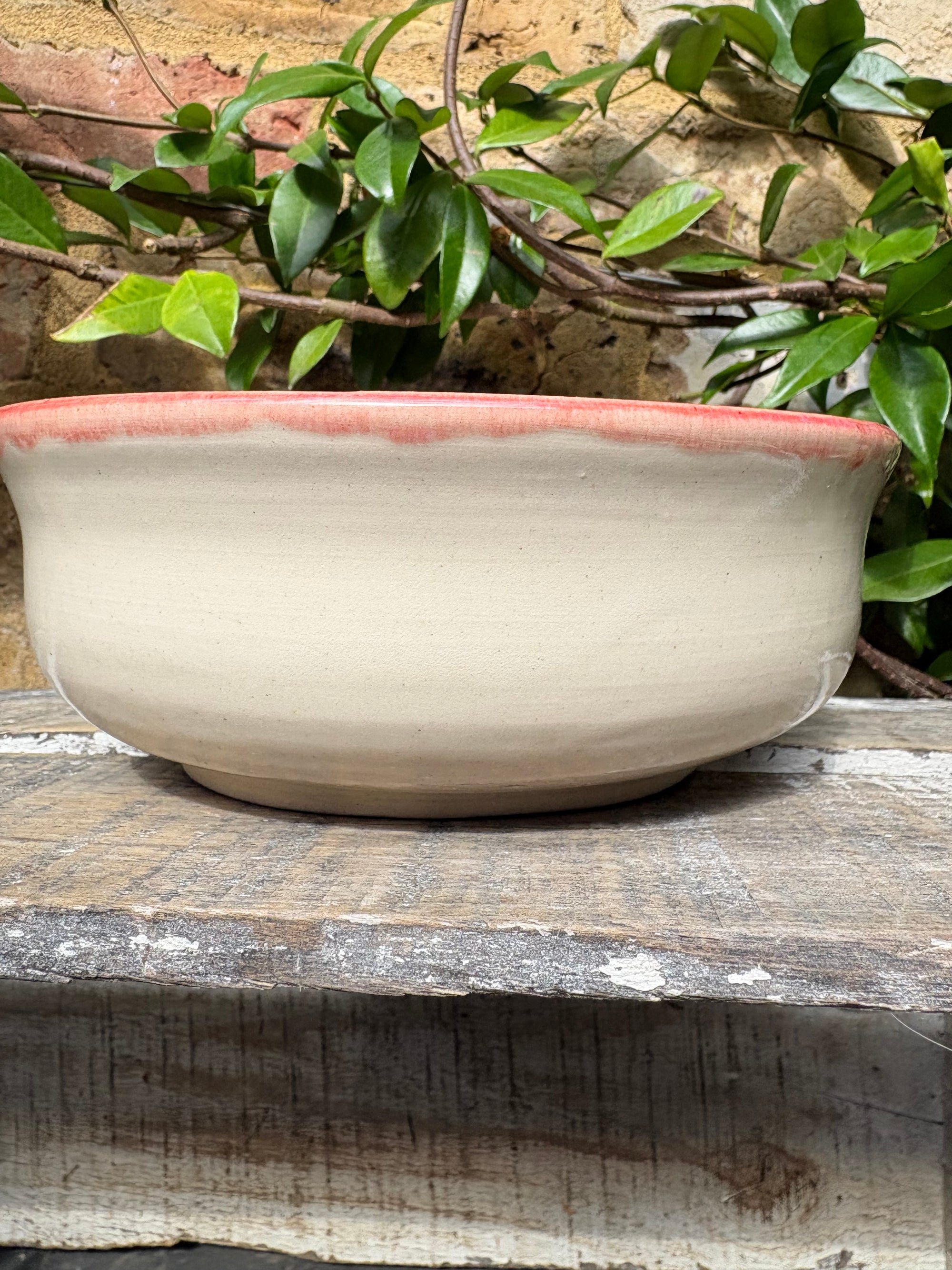 “eat, drink and fuck off by 9pm"  deep round salad/pasta bowl (pink, cream clay)