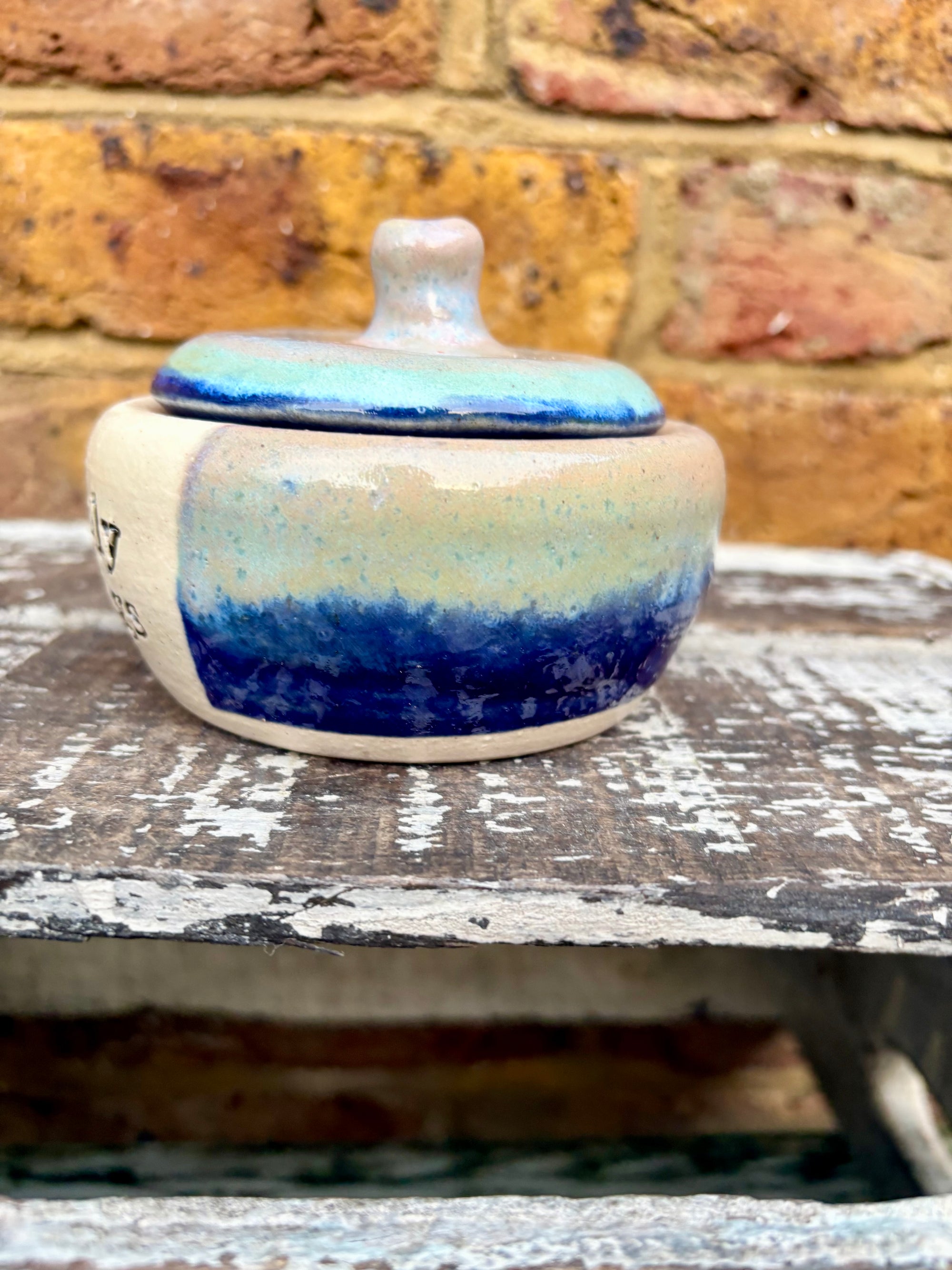 "definitely not drugs" lidded pot (blue night sky)