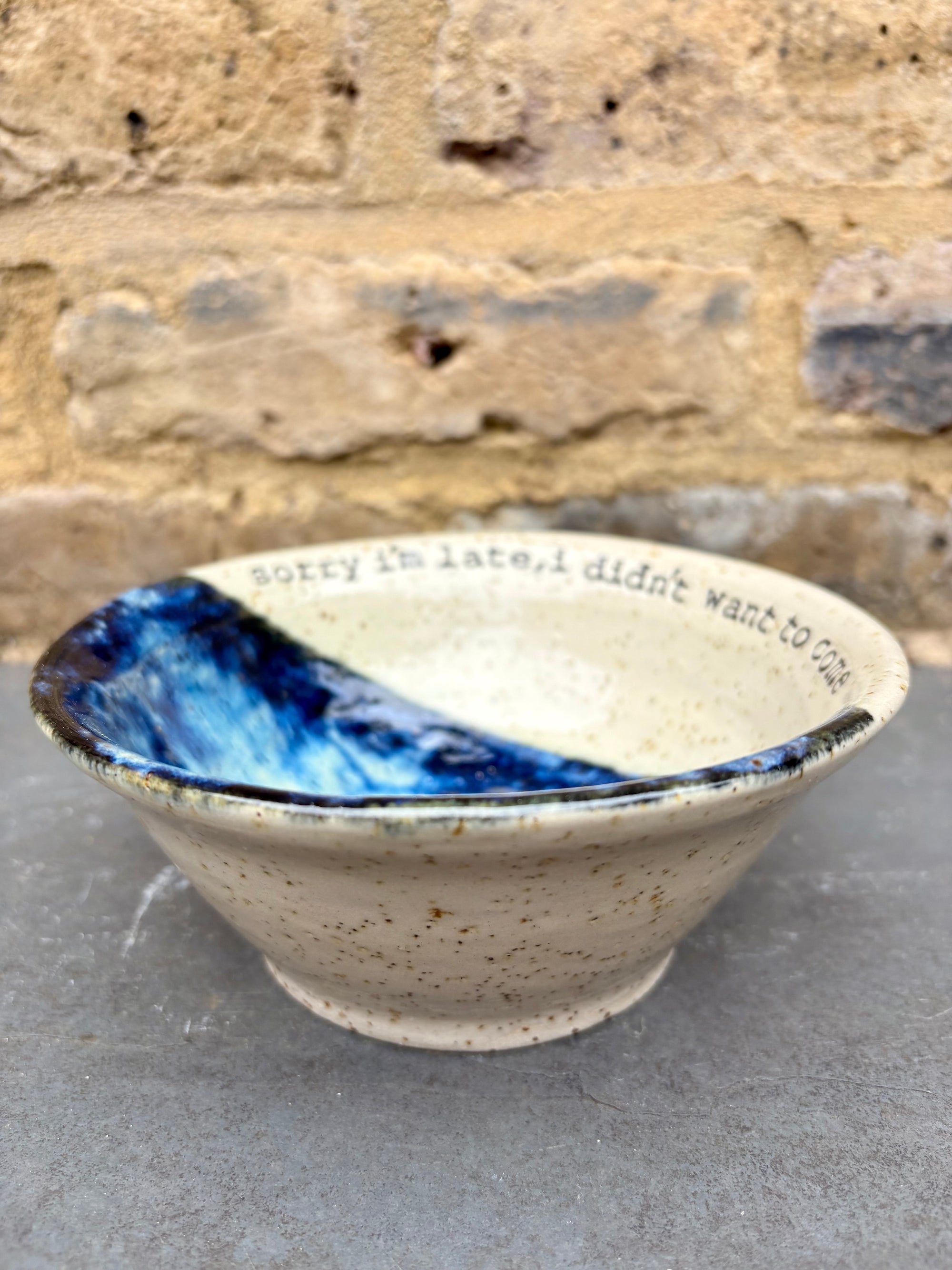 "sorry i'm late, I didn't want to come" bowl (blue)