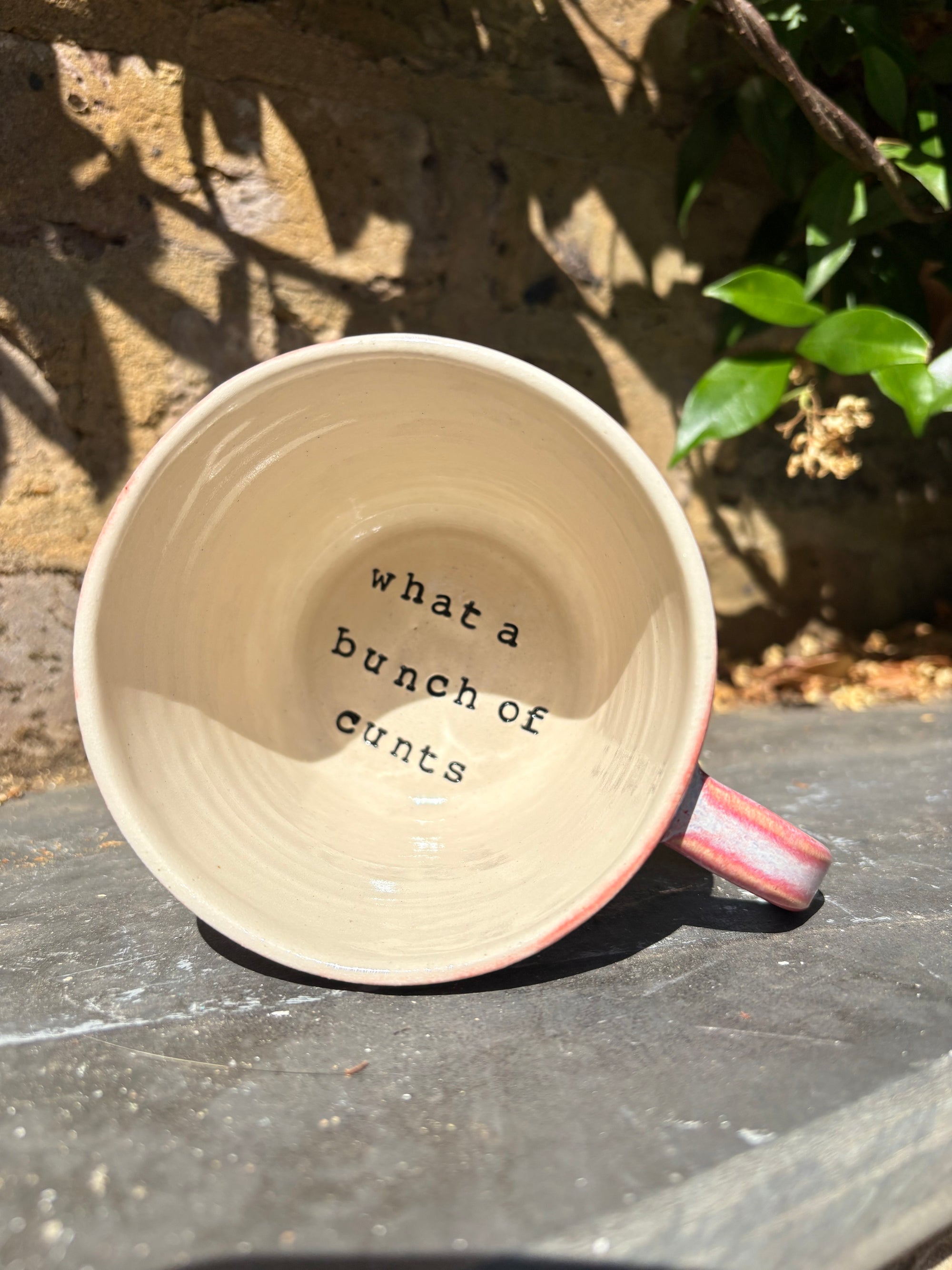 "really happy to be here” "what a bunch of cunts" mug (pink/blue, 300ml)