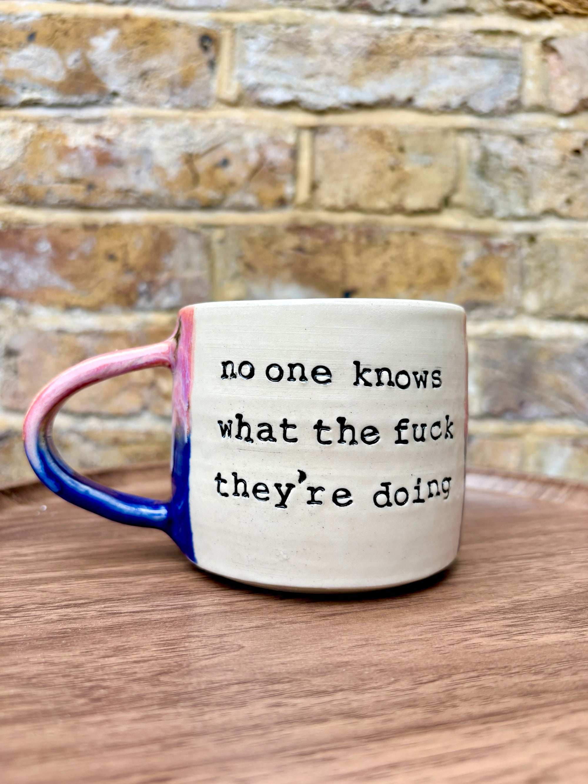 "no one knows what the fuck they're doing" mug (300ml, blue/pink)