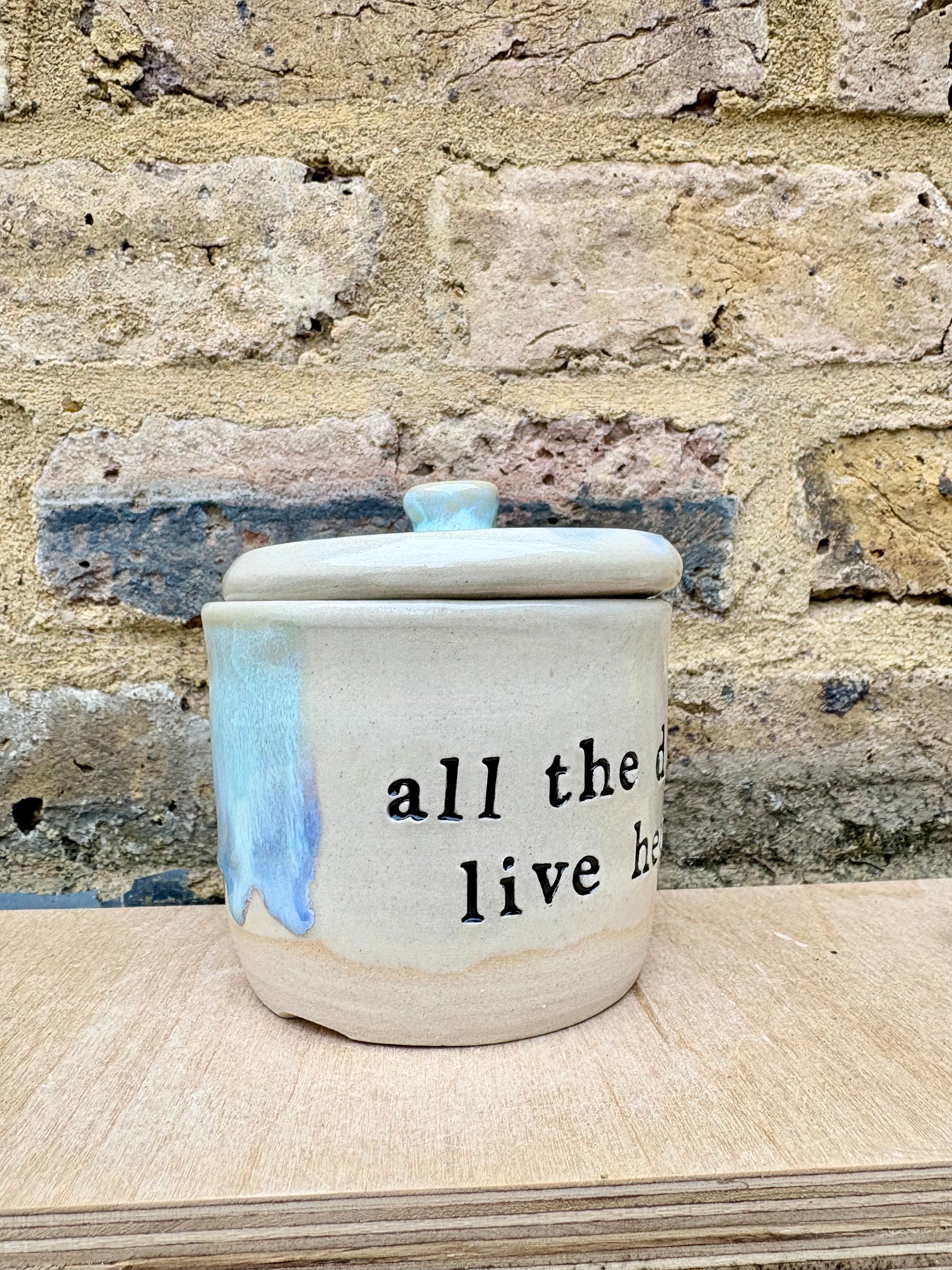 "all the drugs live here" lidded pot (oyster blue)