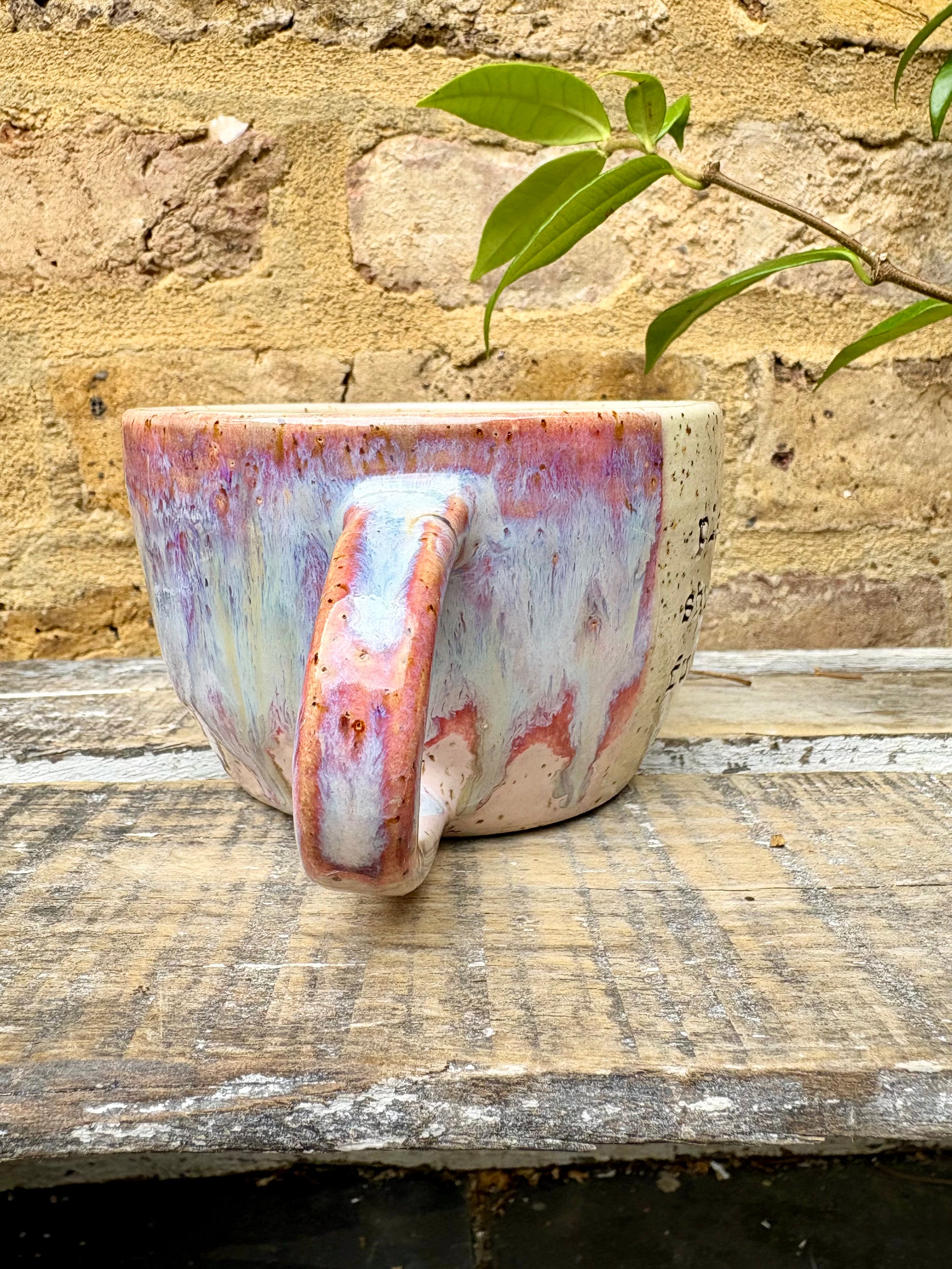 "please shut the fuck up" mug (Purple)
