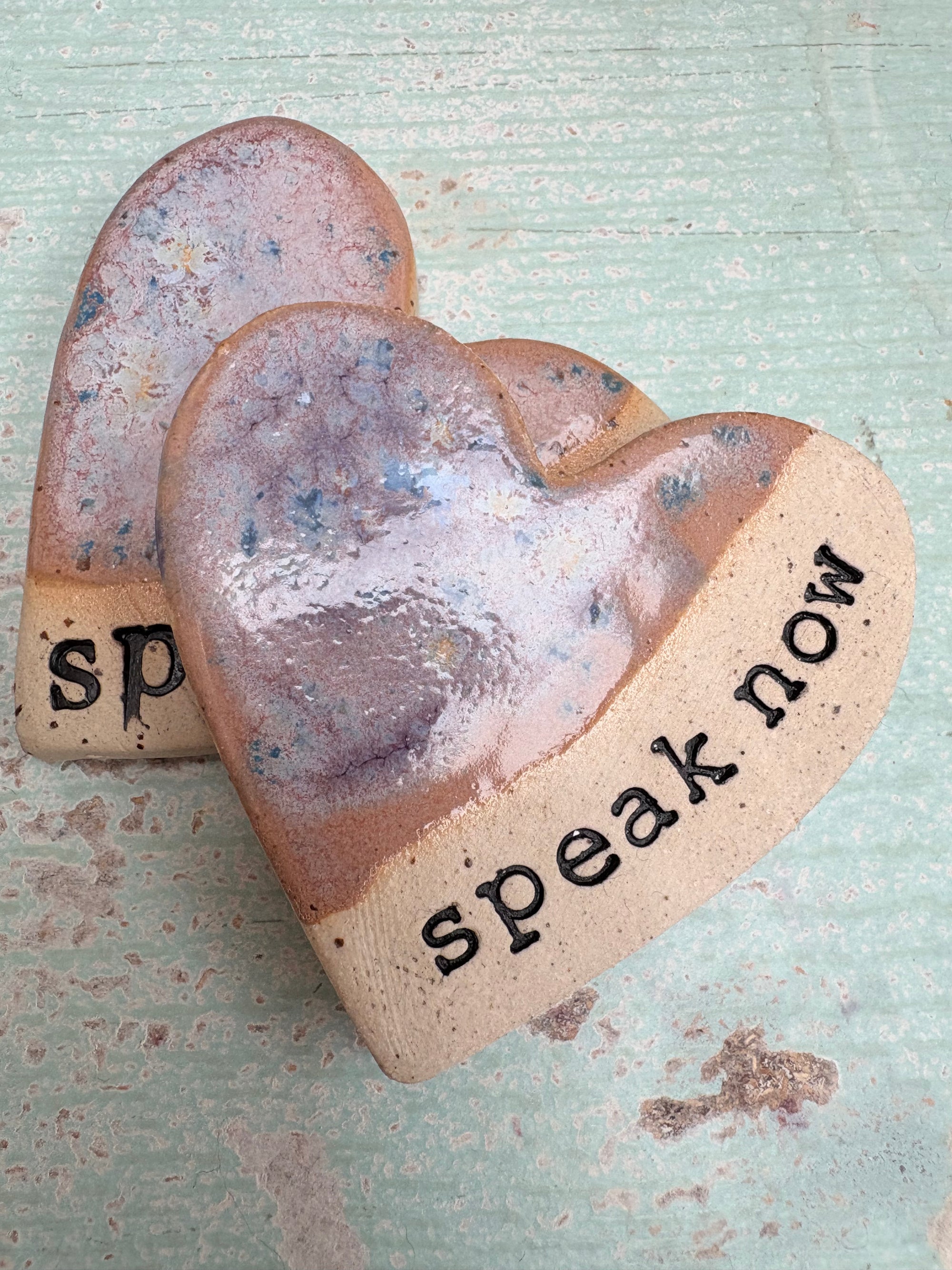 "speak now" magnet