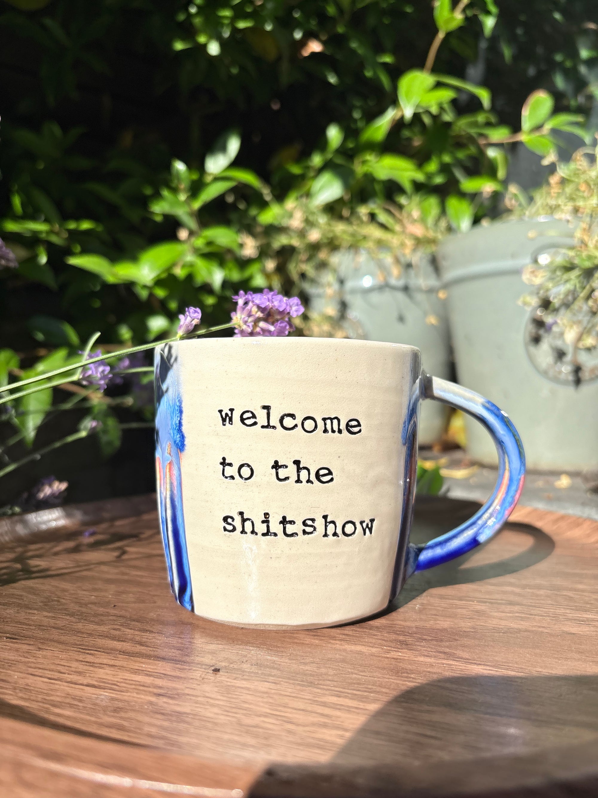 “welcome to the shit show" mug (Blue Night Sky)