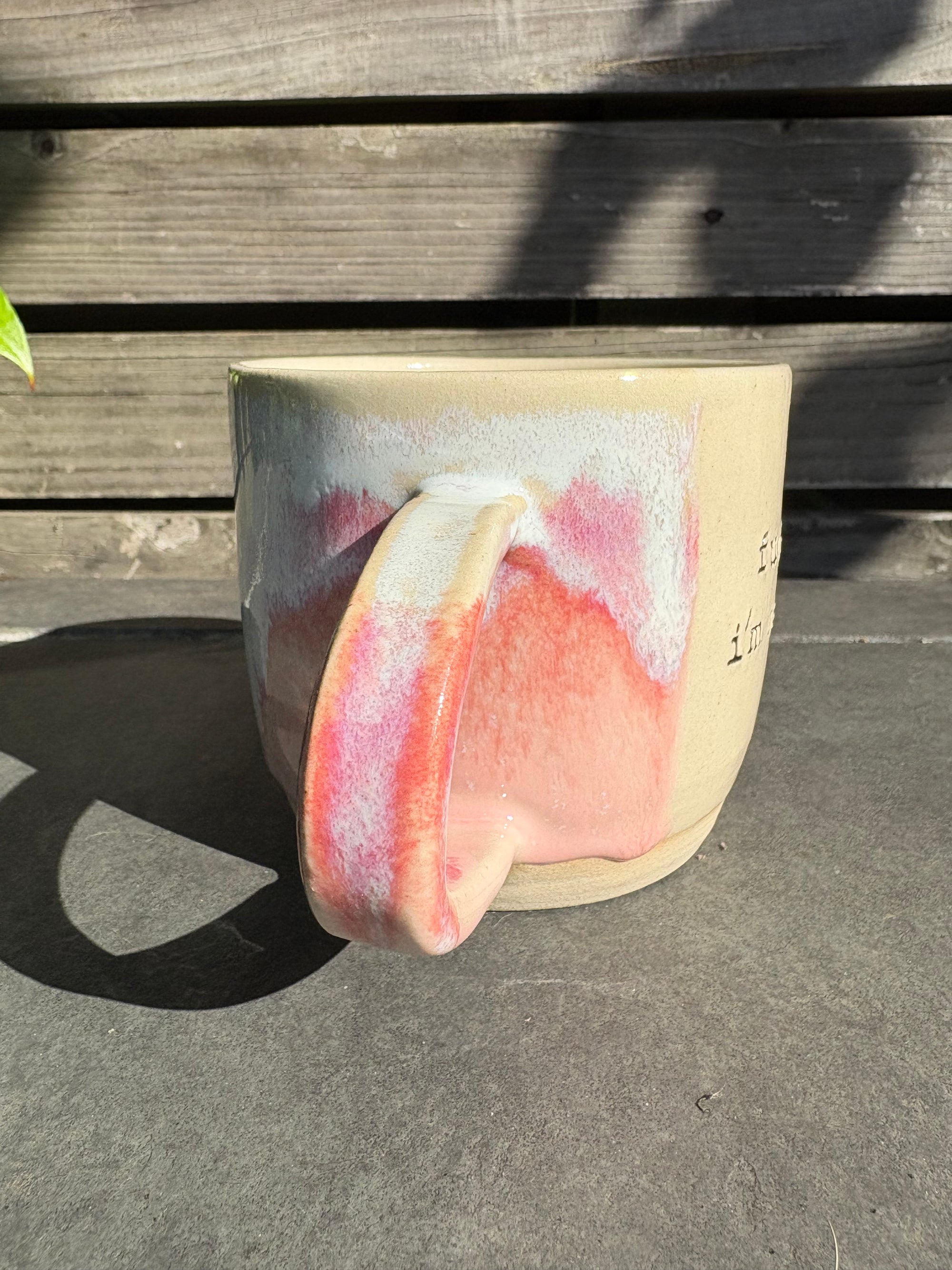 “Fuck off i'm reading" mug (Pink Raspberry Ripple)