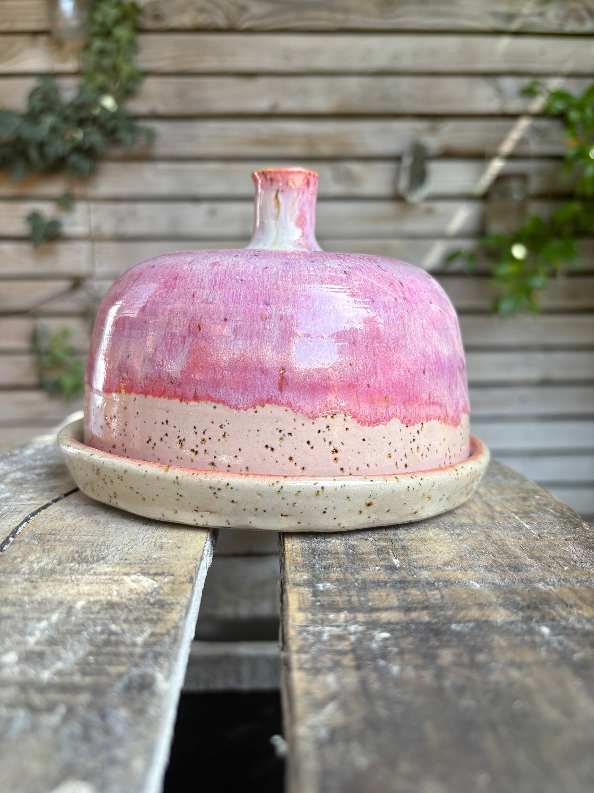 Butter Dish (butter slut, pink wood, flecked clay, knob)