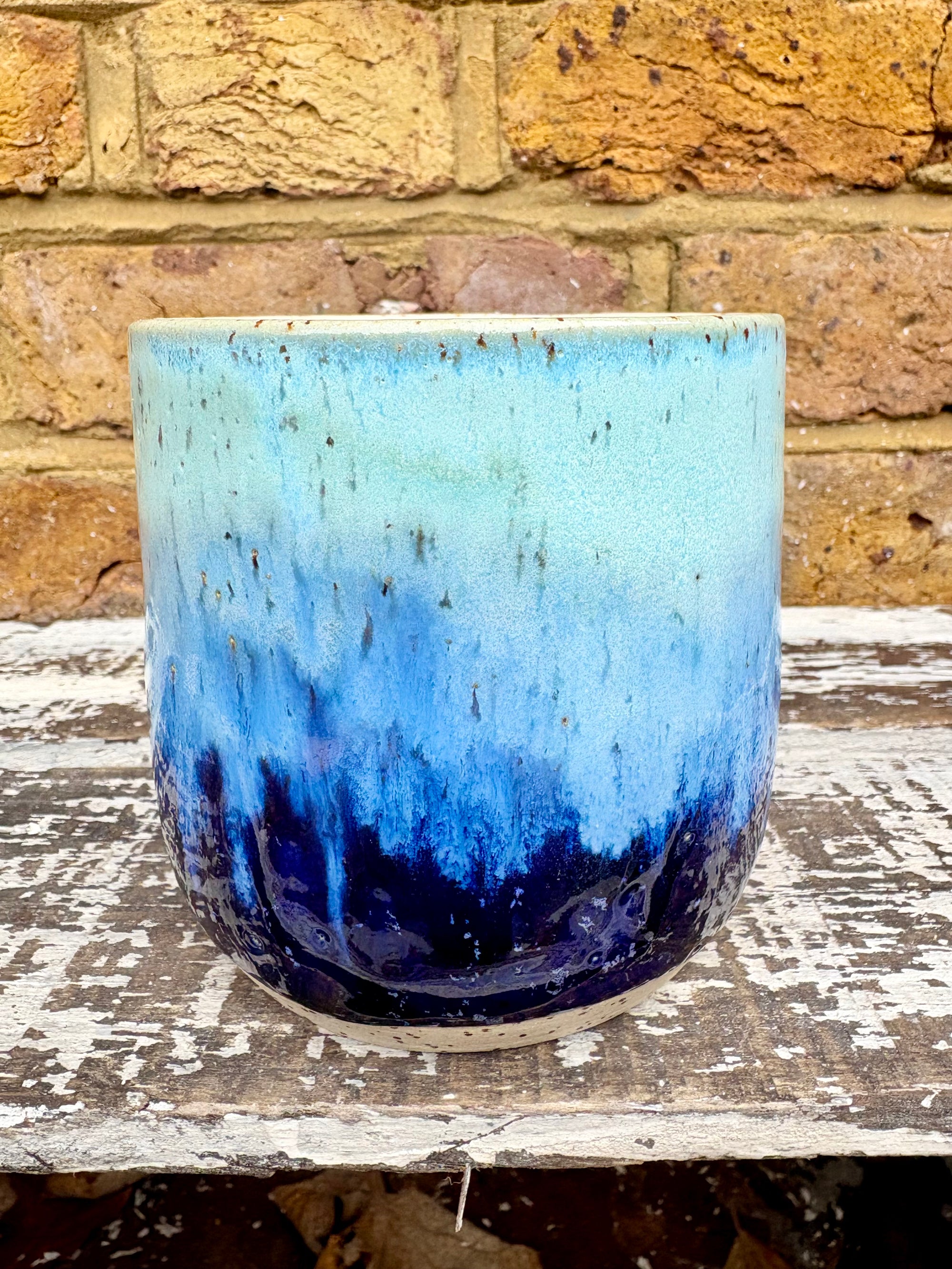 "cute but bat shit" mug