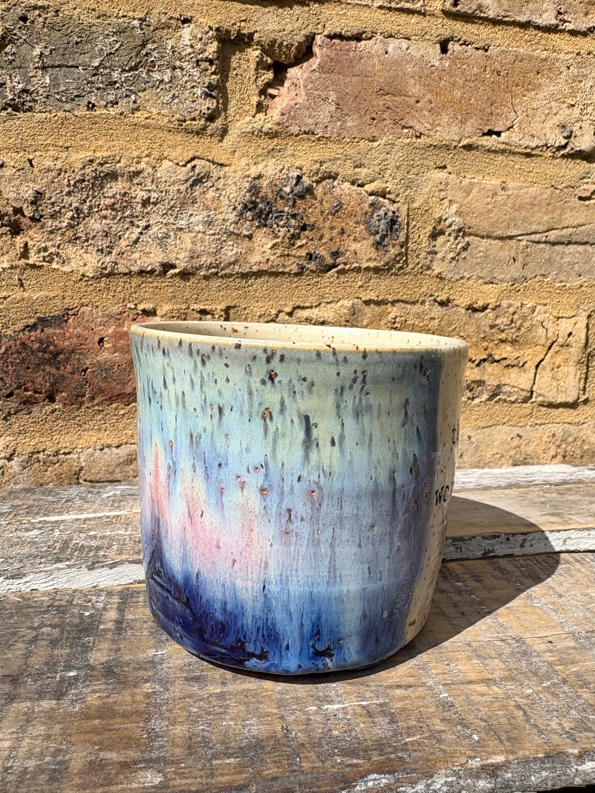 “the correct word is "vulva" mug (pink night sky)