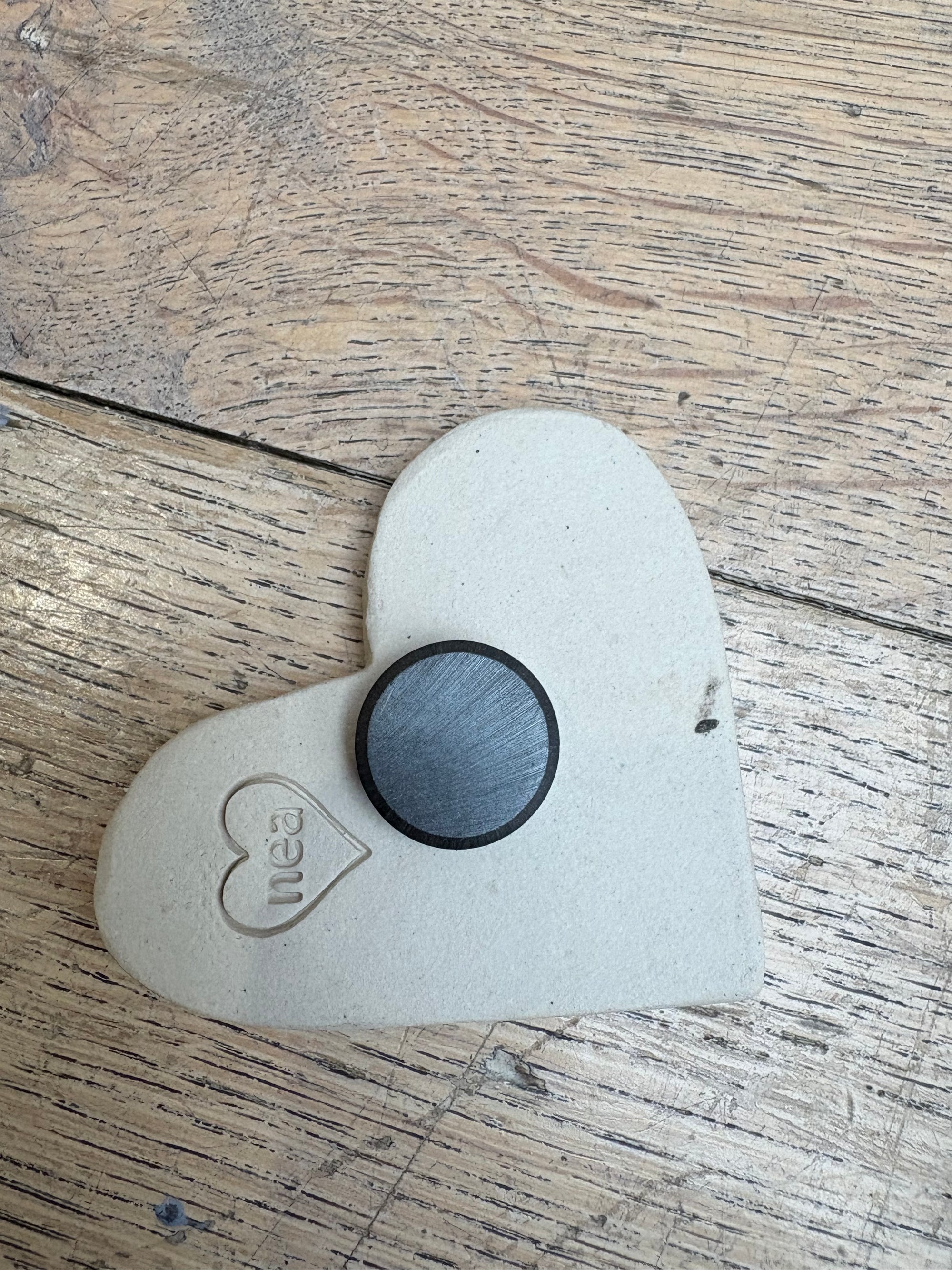 Fuckwit Magnet (medium)