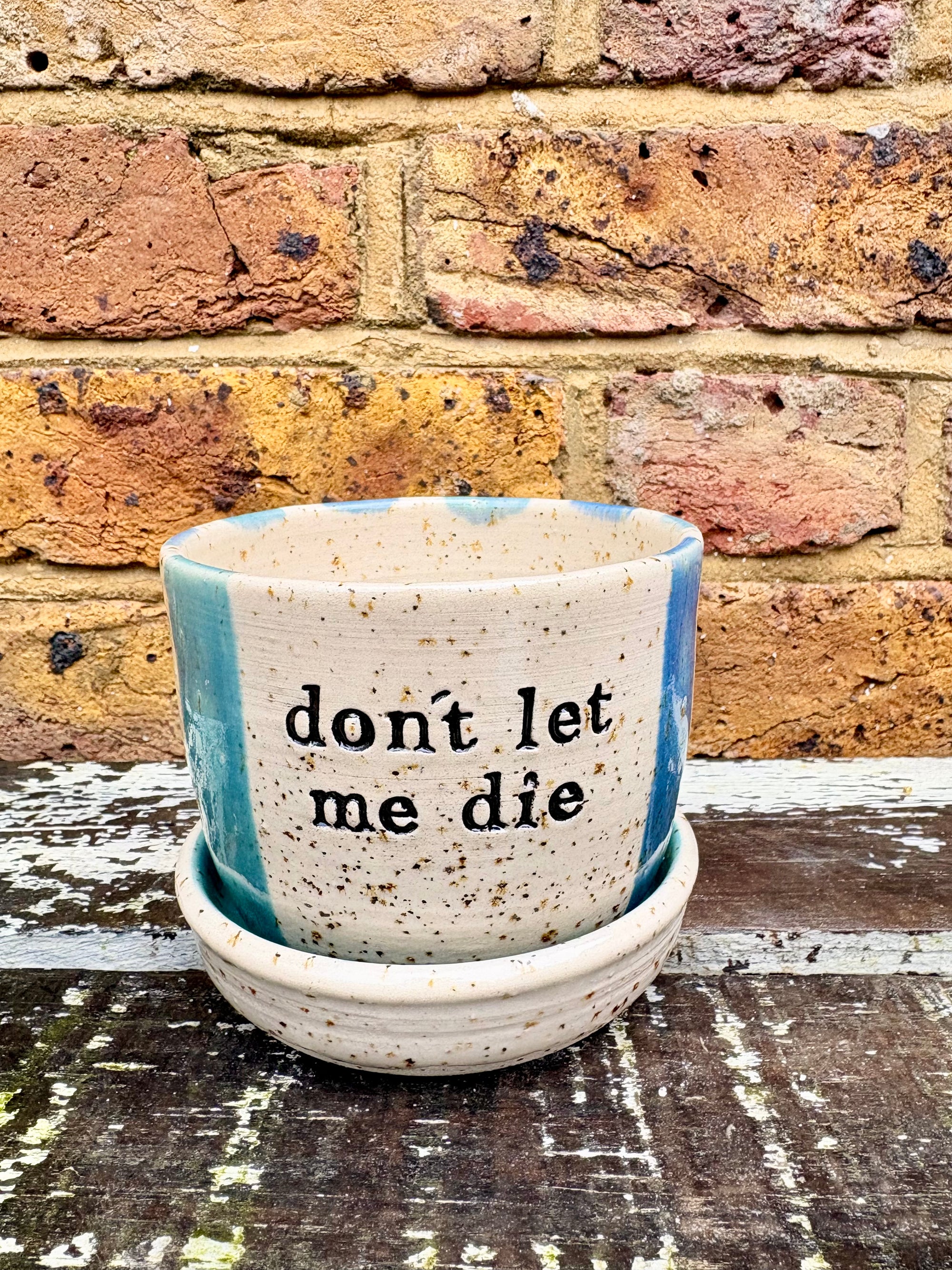 "don't let me die" planter with matching dish (blue stripe)