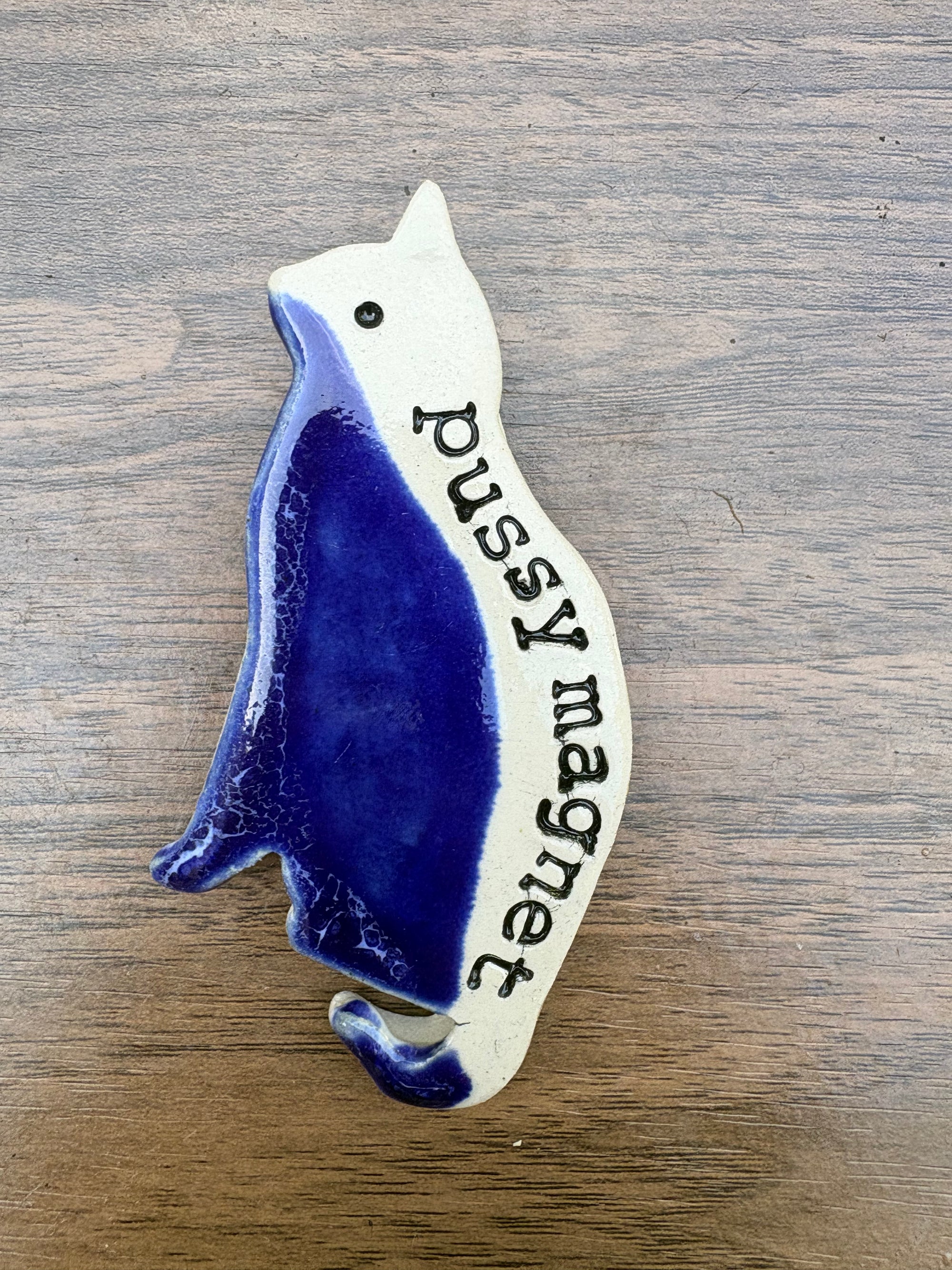 Pussy Magnet (blue)