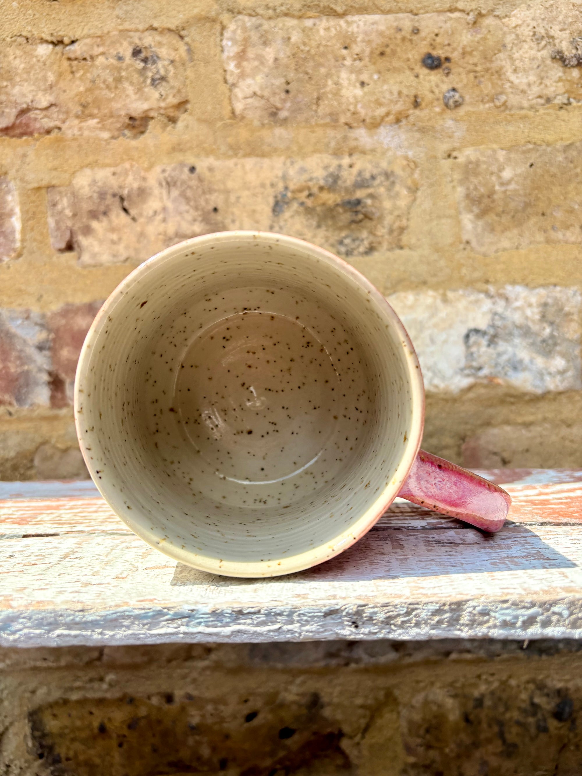 "everyone else is a grade A cunt" mug (pinks)