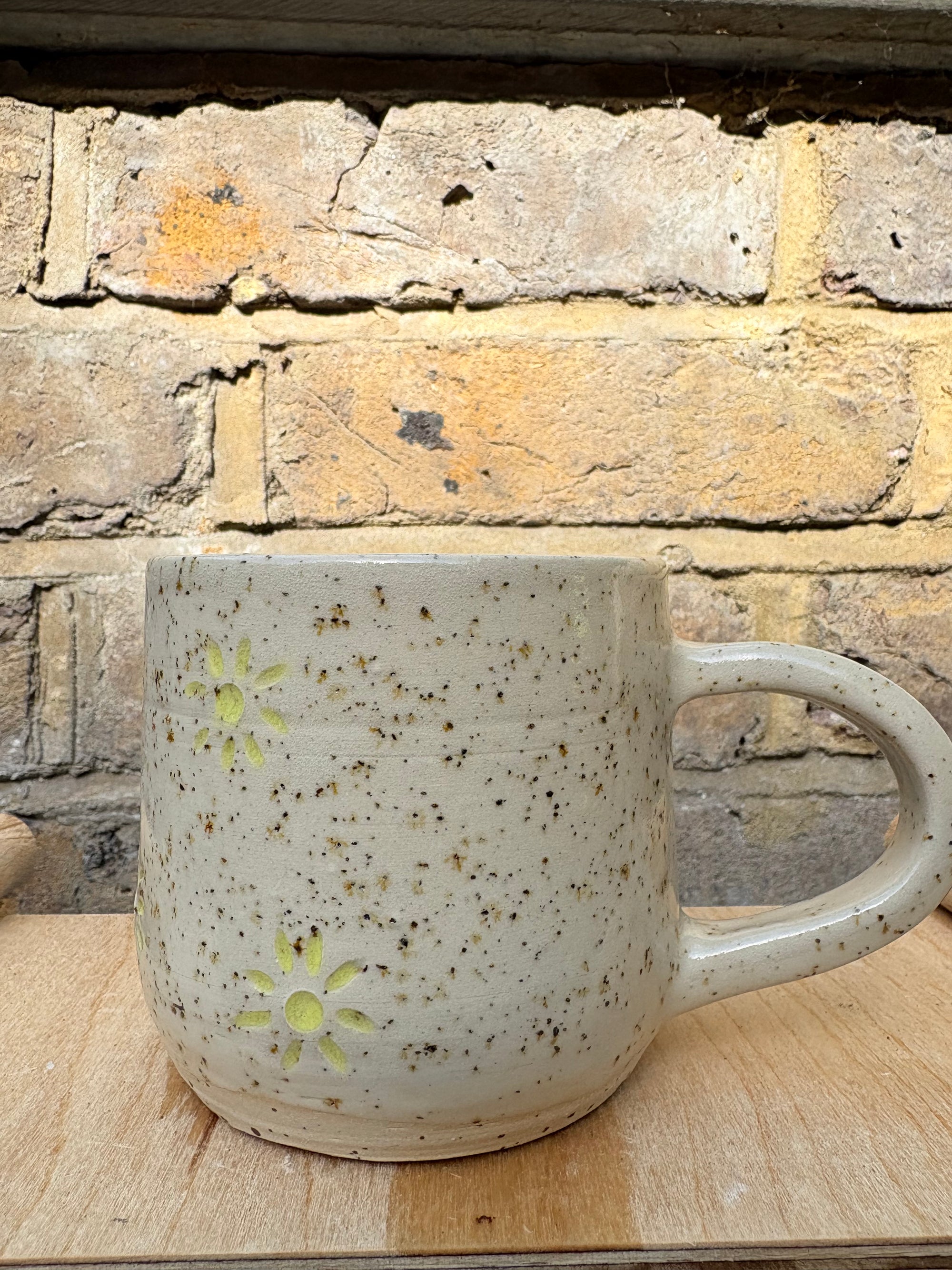 “Fuck off i'm reading" mug (five suns)