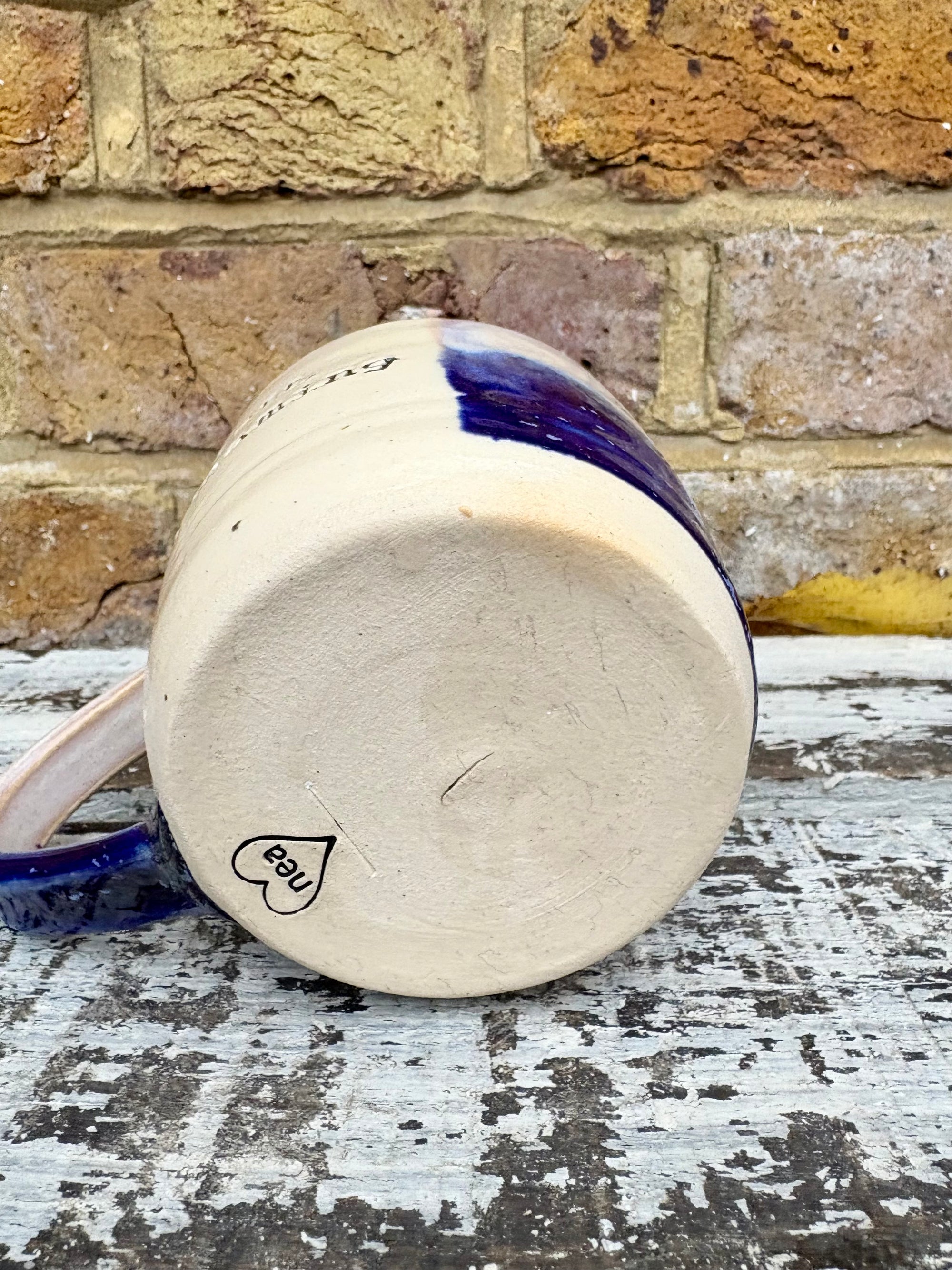 “Fuck off i'm dreaming" mug (Blue Night Sky)