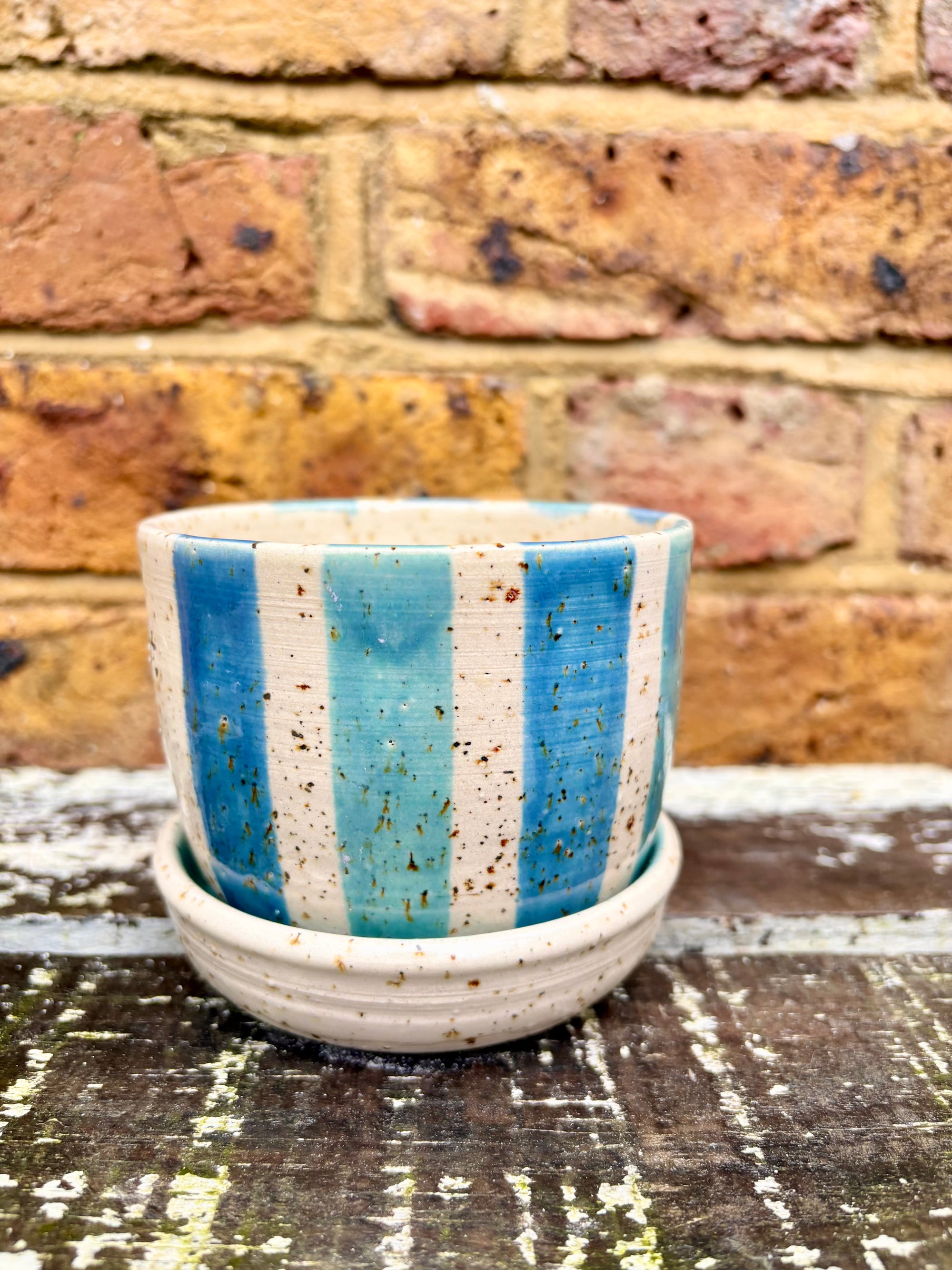 "don't let me die" planter with matching dish (blue stripe)