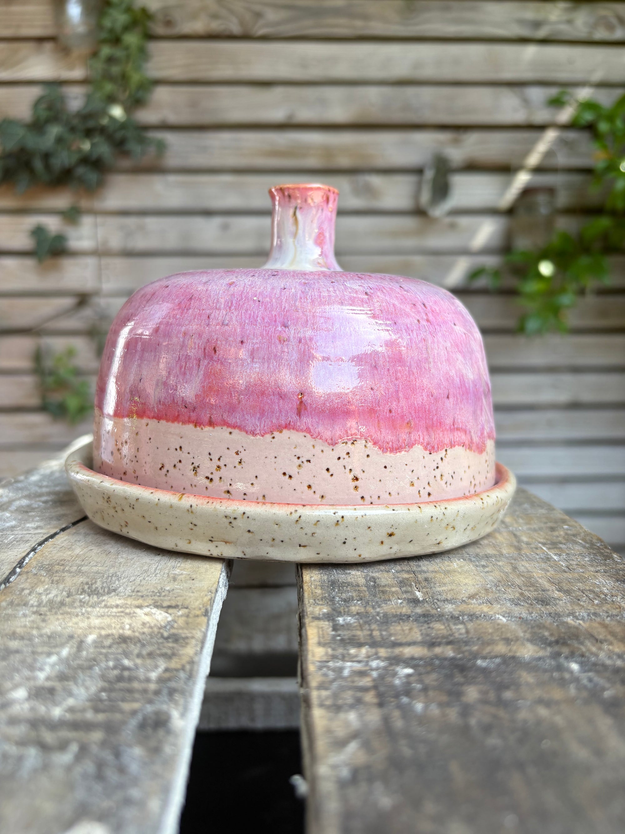 Butter Dish (butter slut, pink wood, flecked clay, knob)