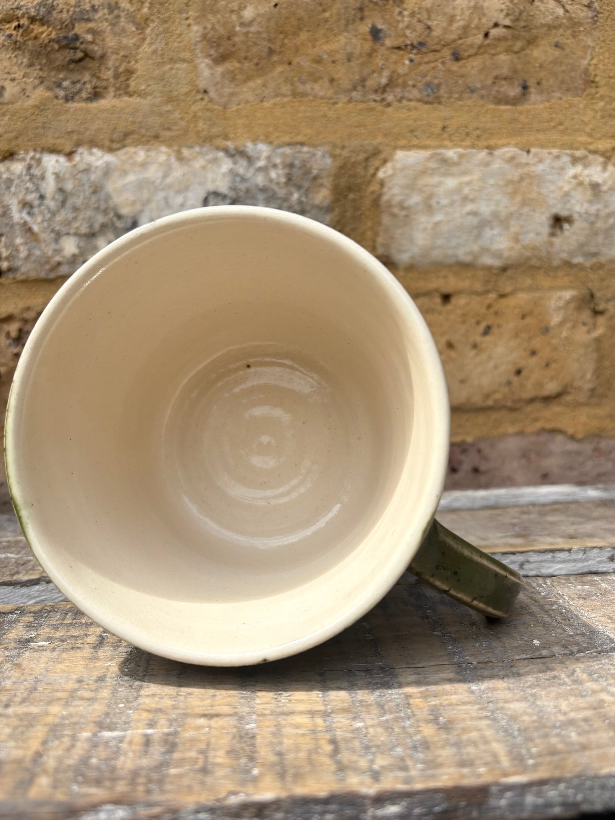 "menopausal and fresh out of fucks" mug (speckled green)