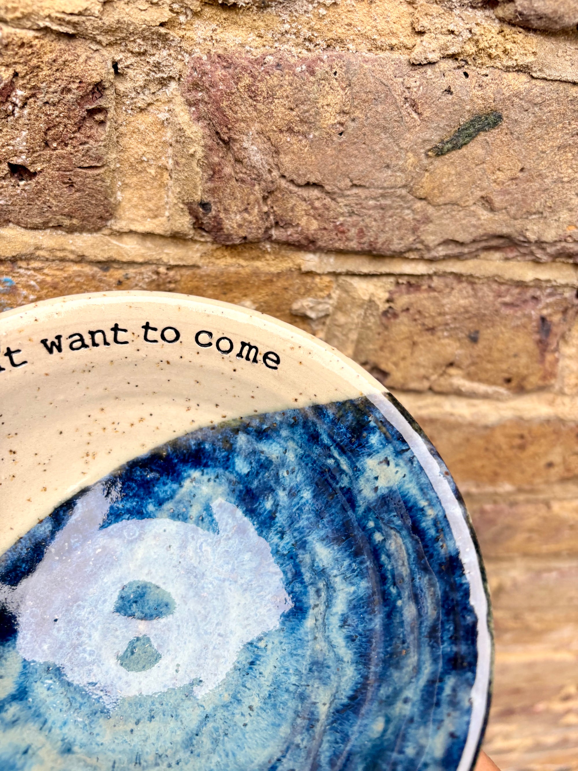 "sorry i'm late, I didn't want to come" bowl (blue)