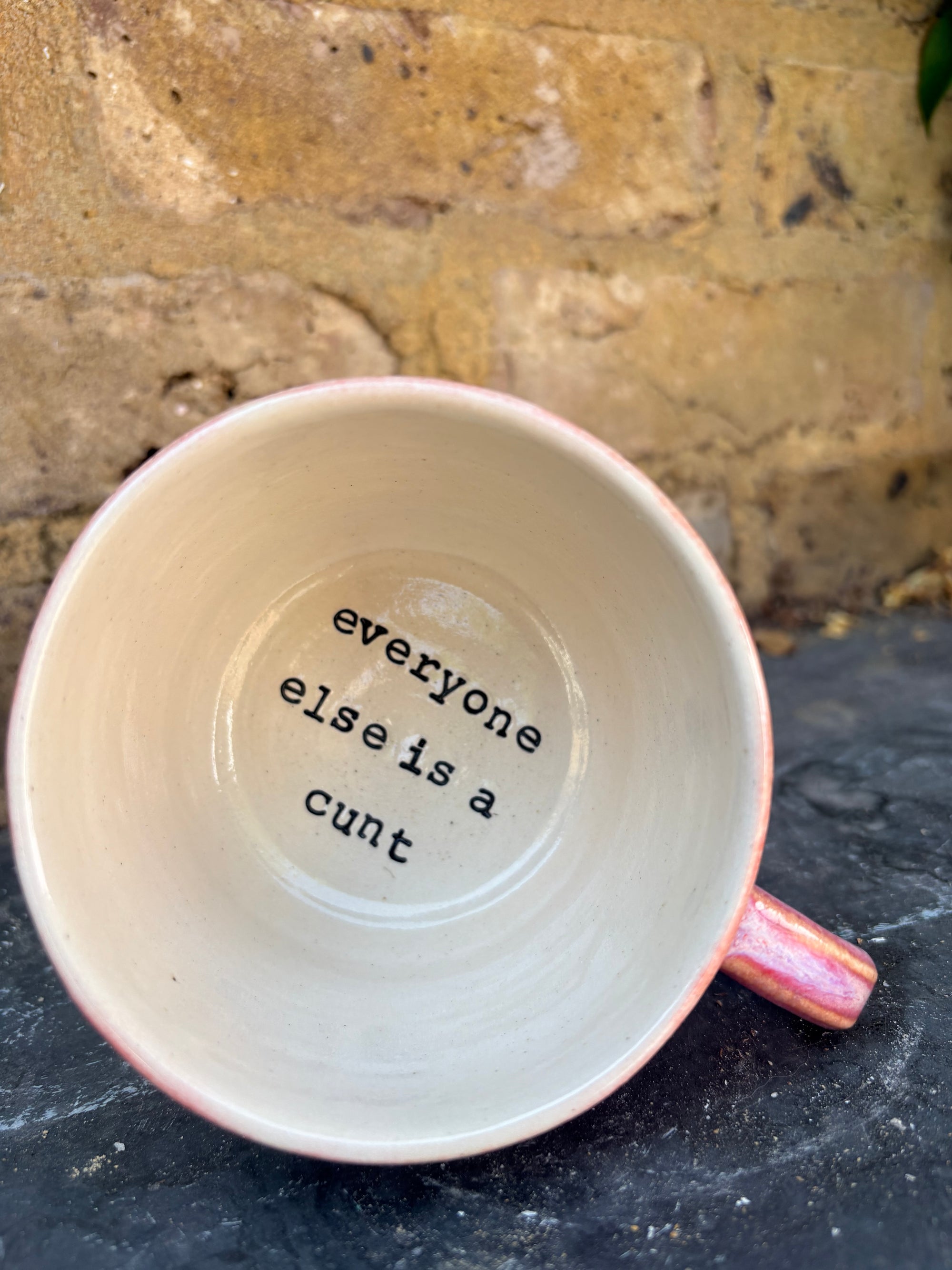 “everyone else is a cunt" mug (pink)