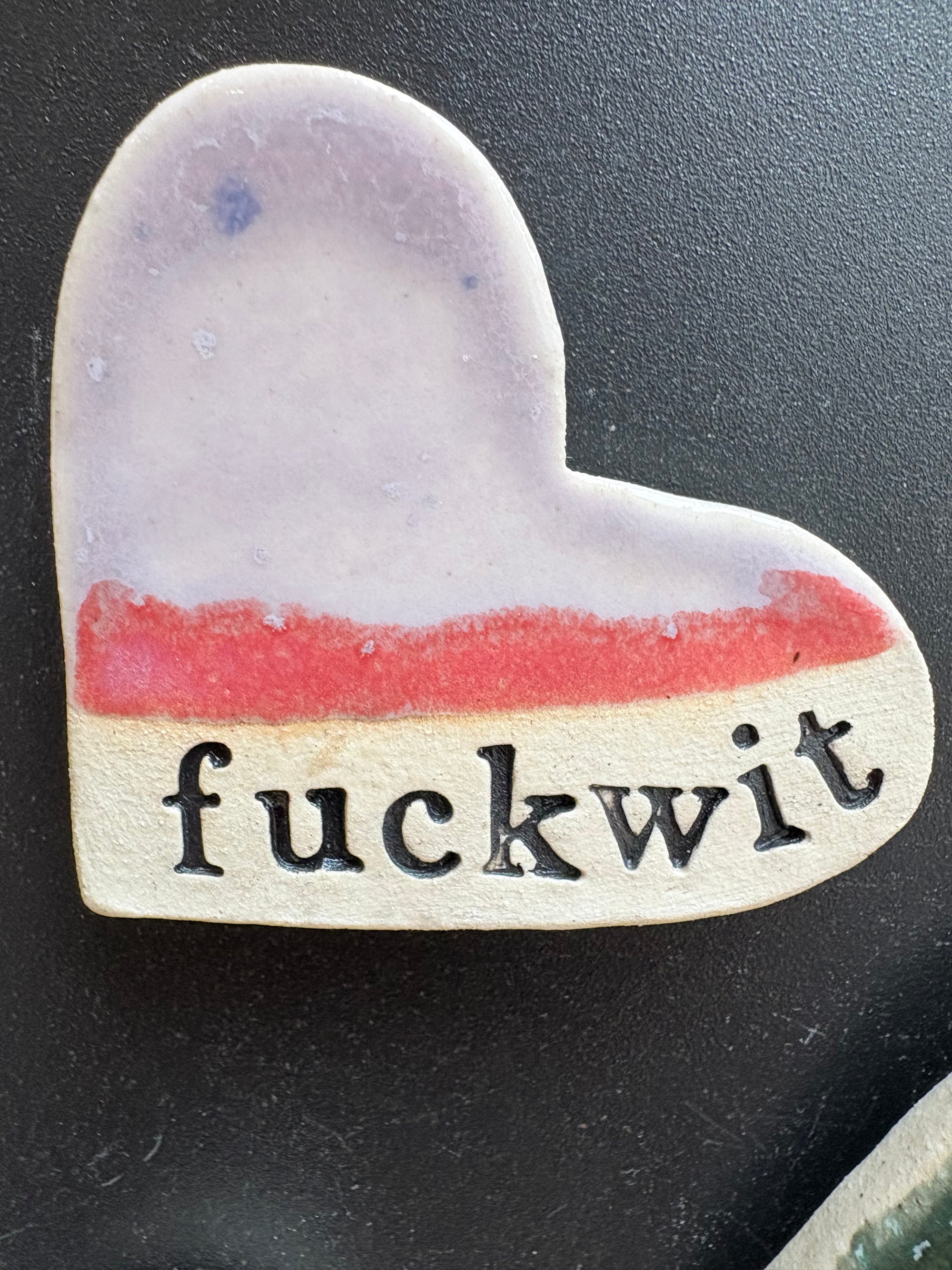 Fuckwit Magnet (medium)
